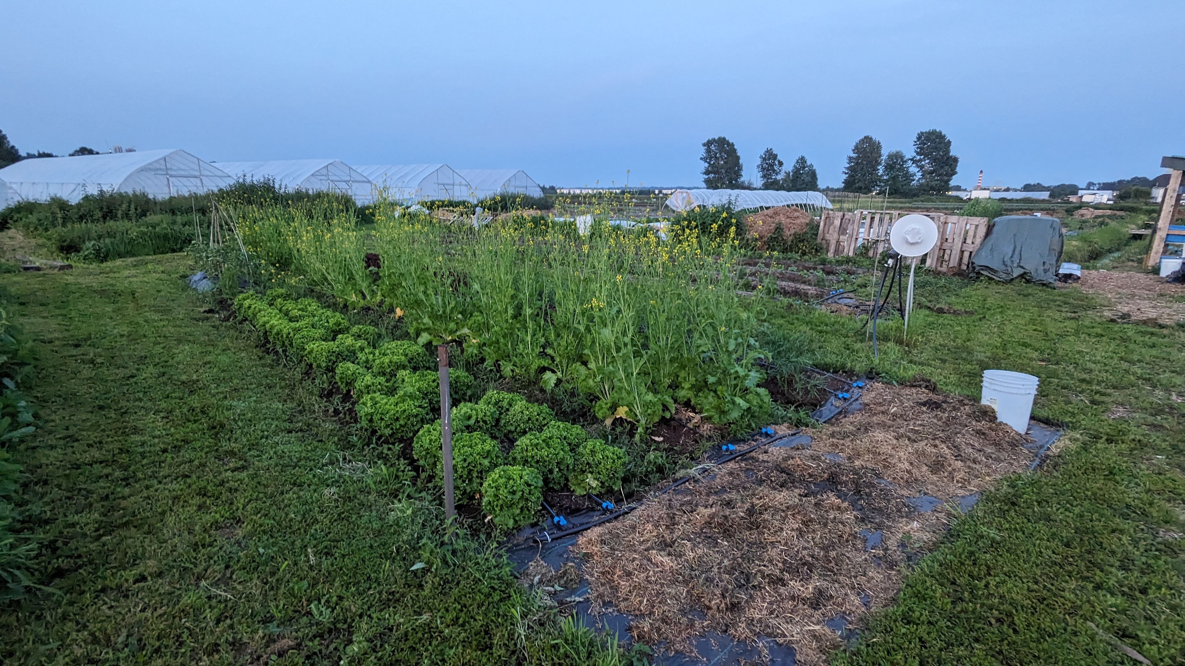 Big Bend Urban Farm