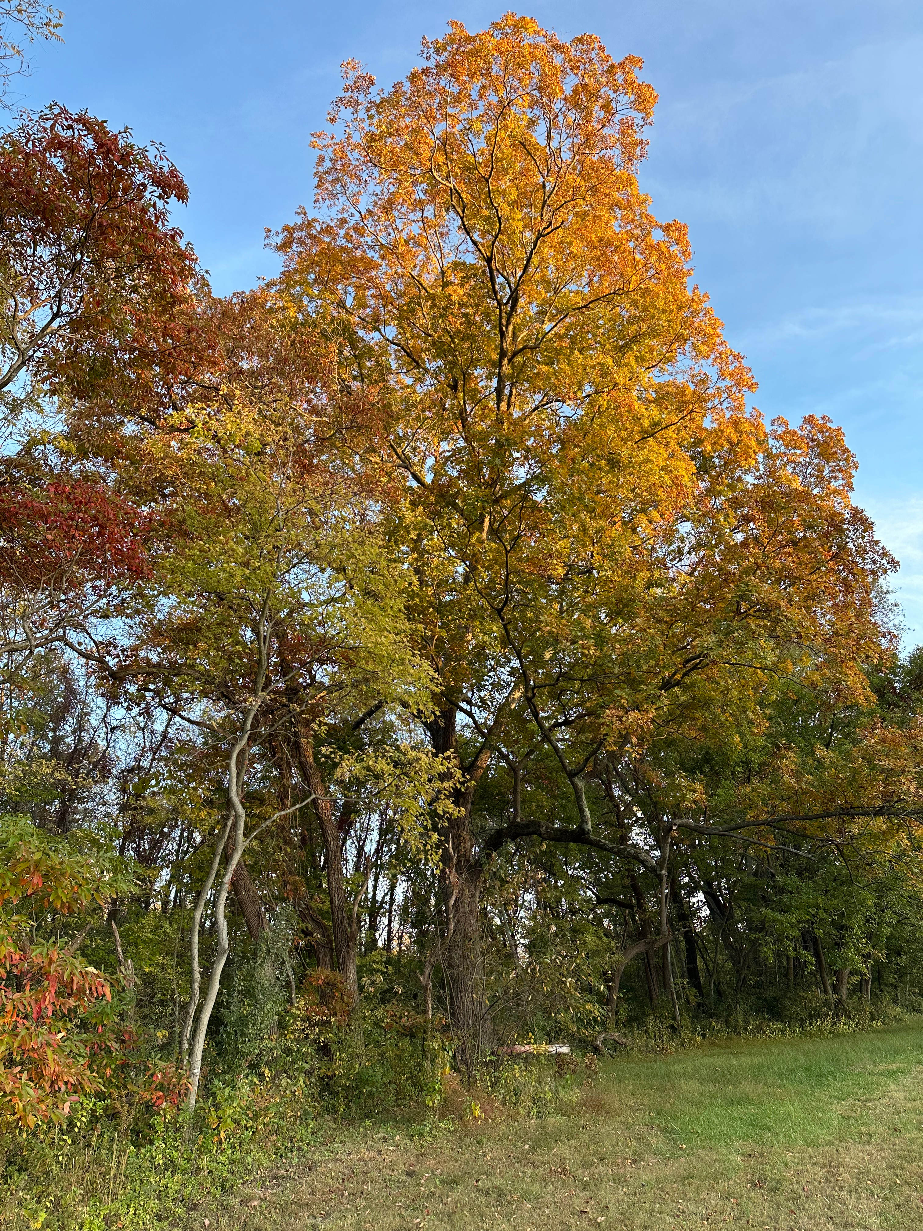 Brown Farm