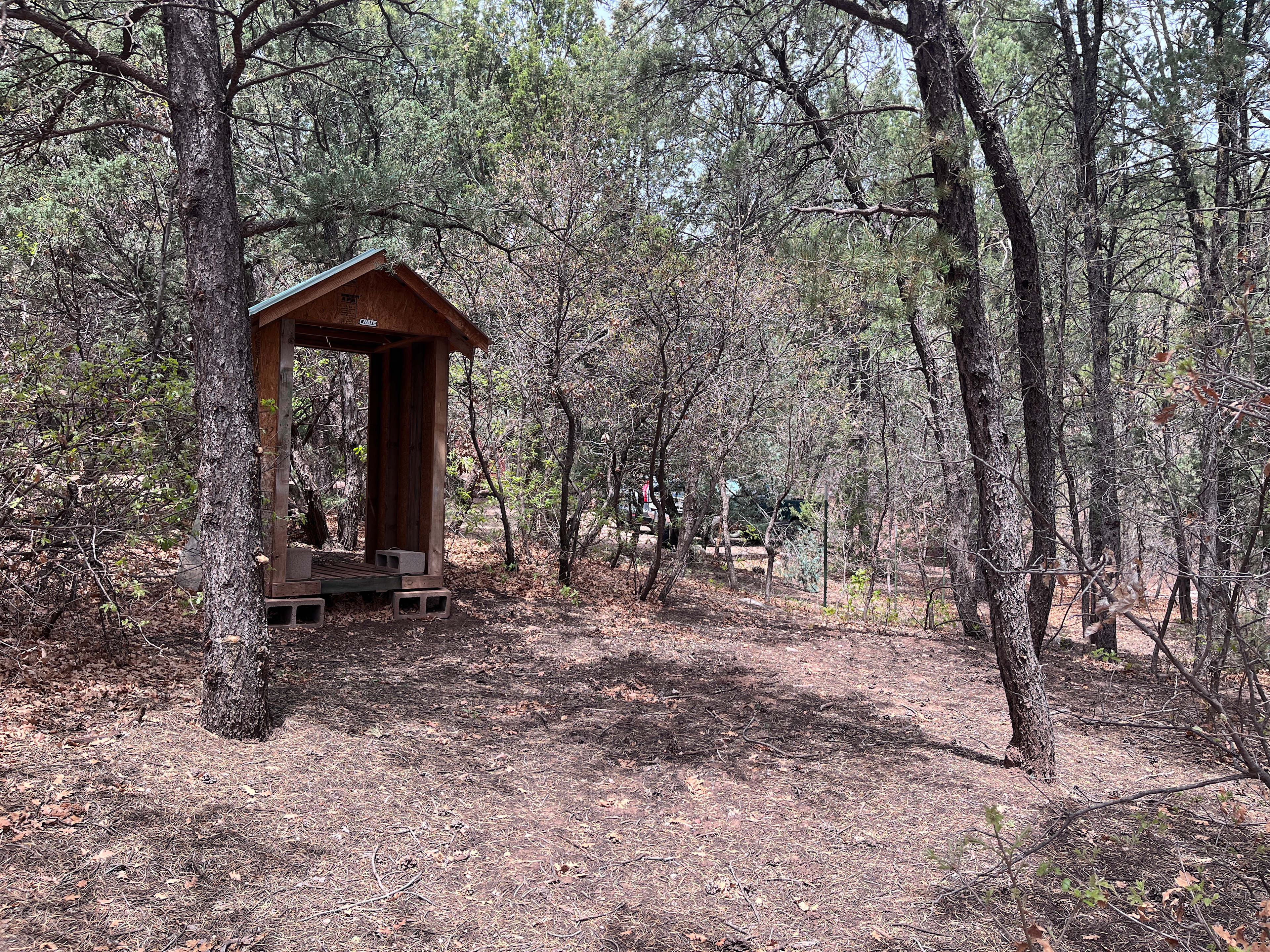 Pecos Pinecone Camp