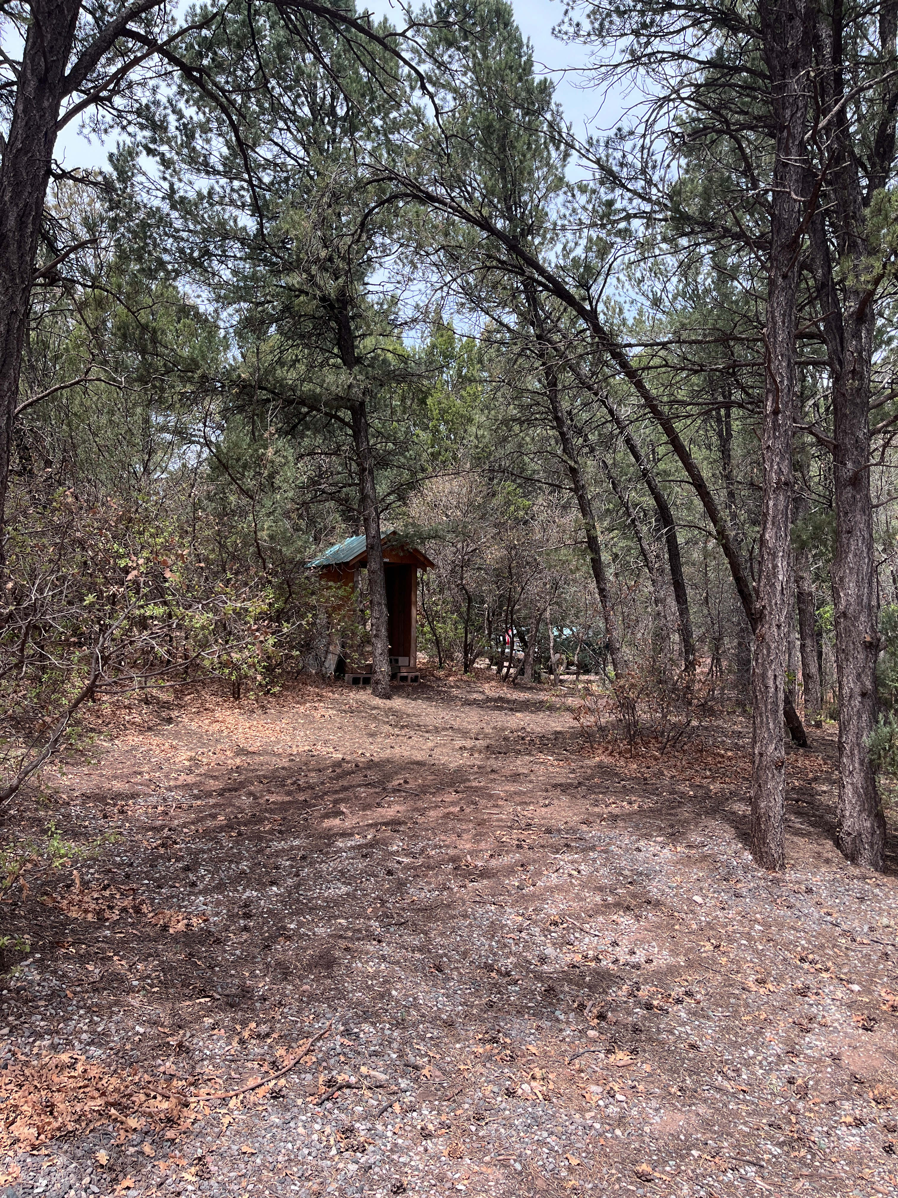Pecos Pinecone Camp