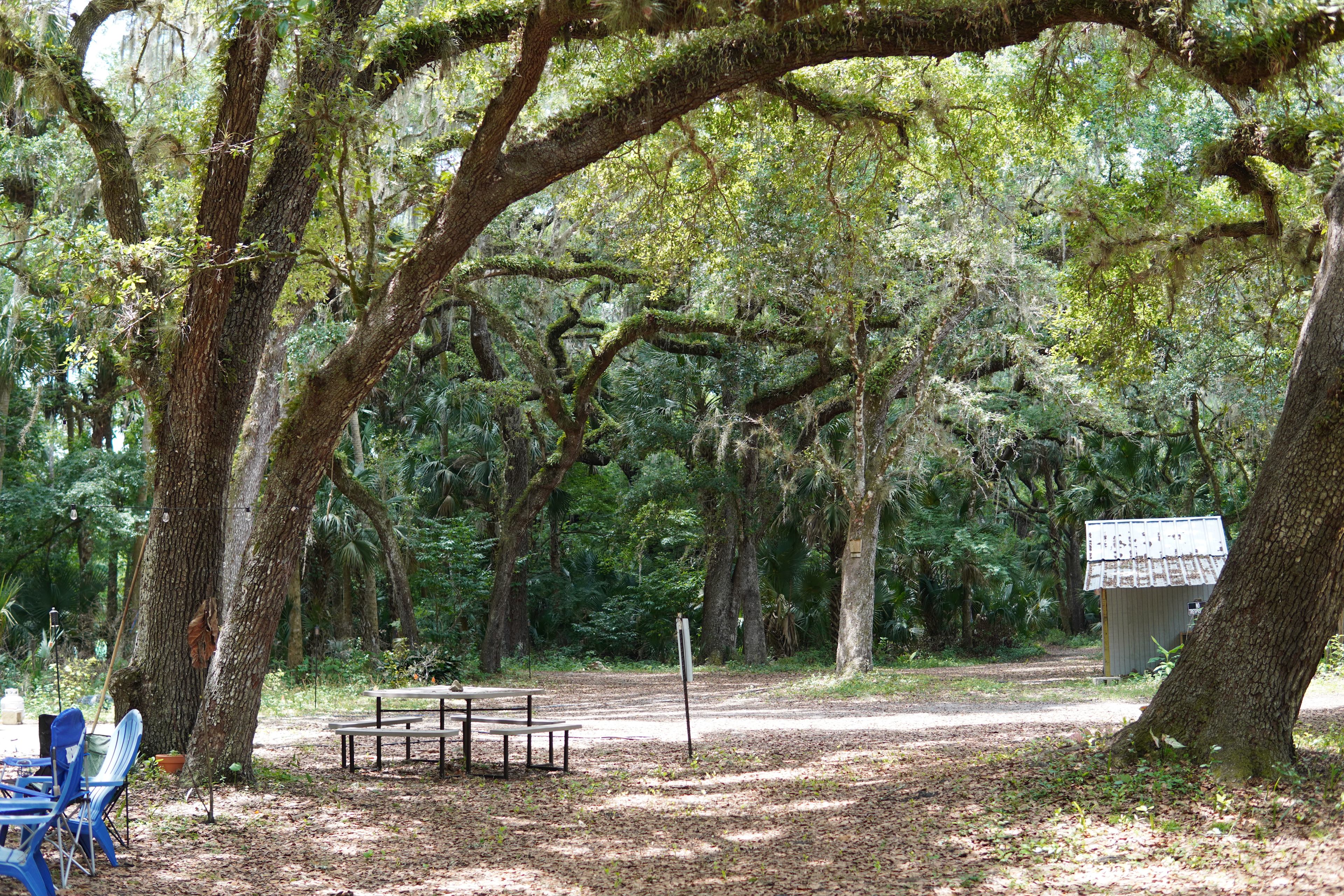 Sacred Forest Farm