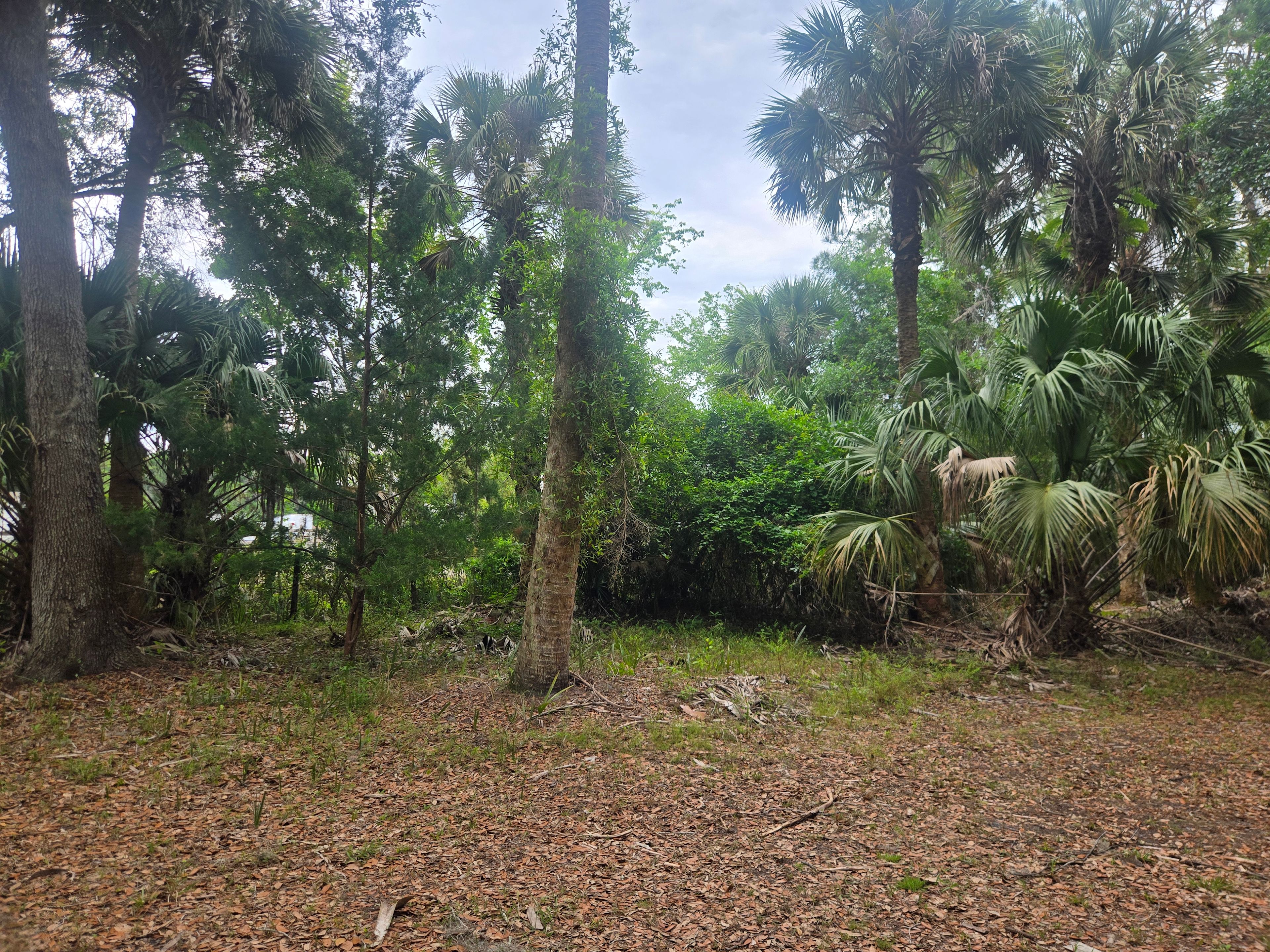 Sacred Forest Farm