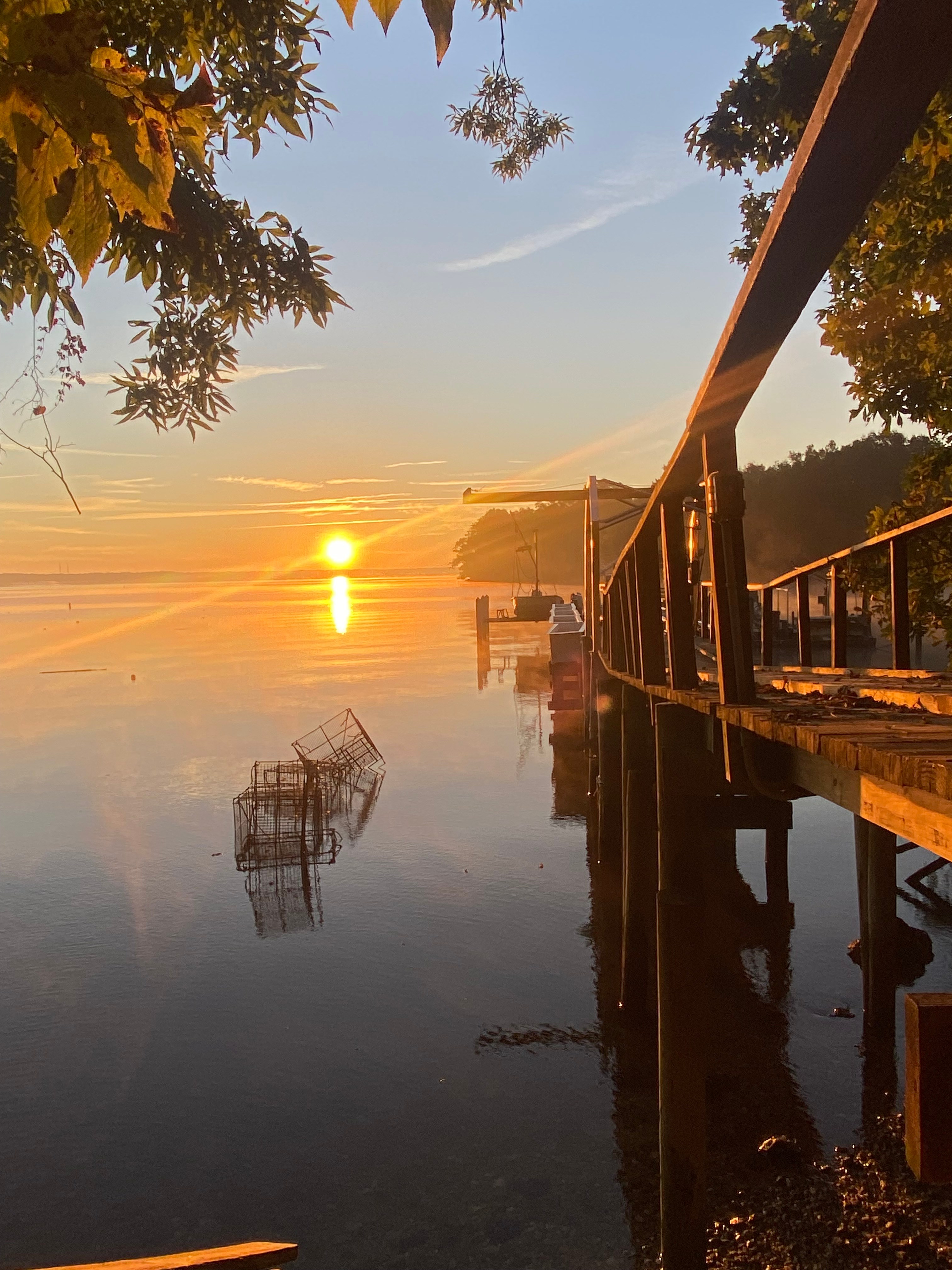Tranquil Camping by Patuxent River