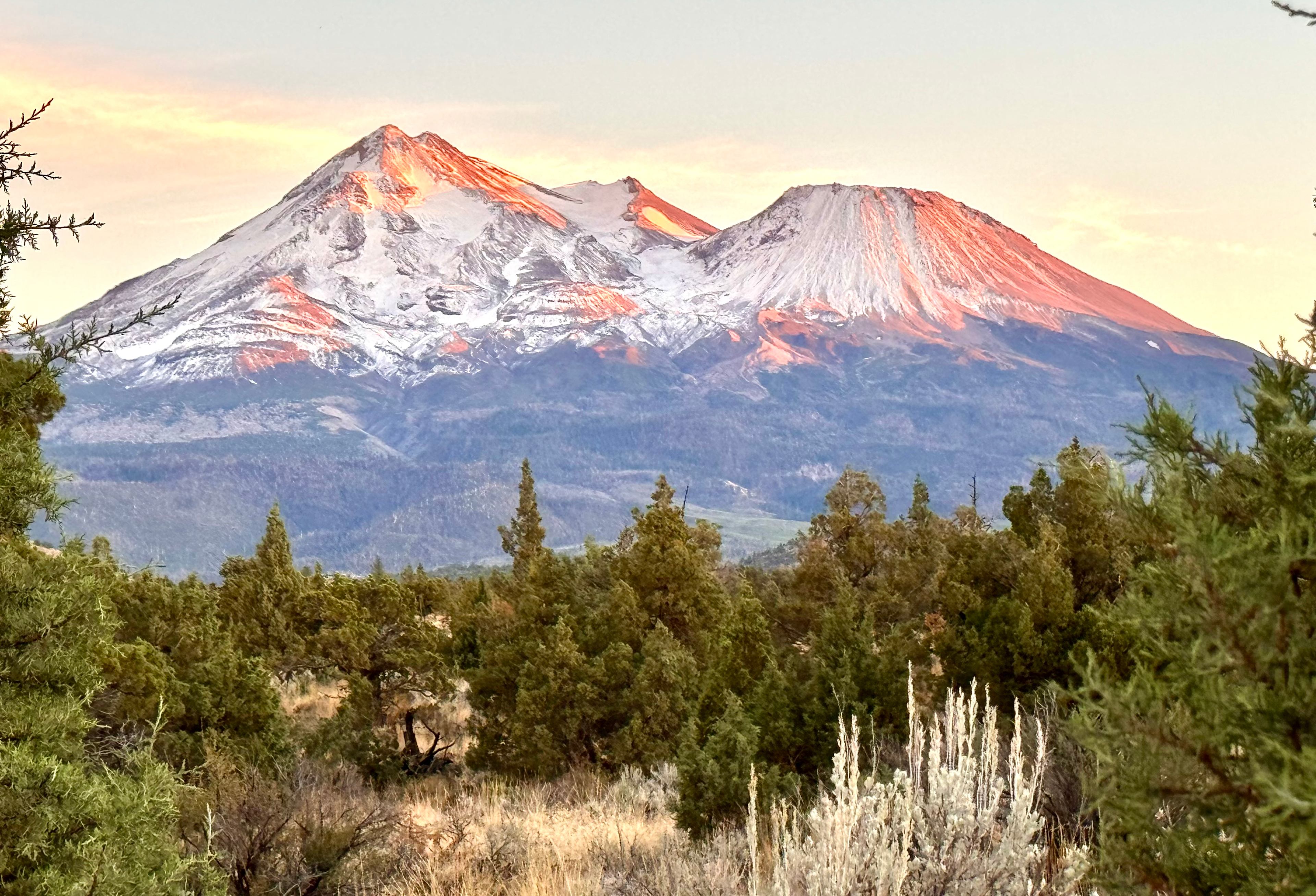 Mount Shasta View Camping
