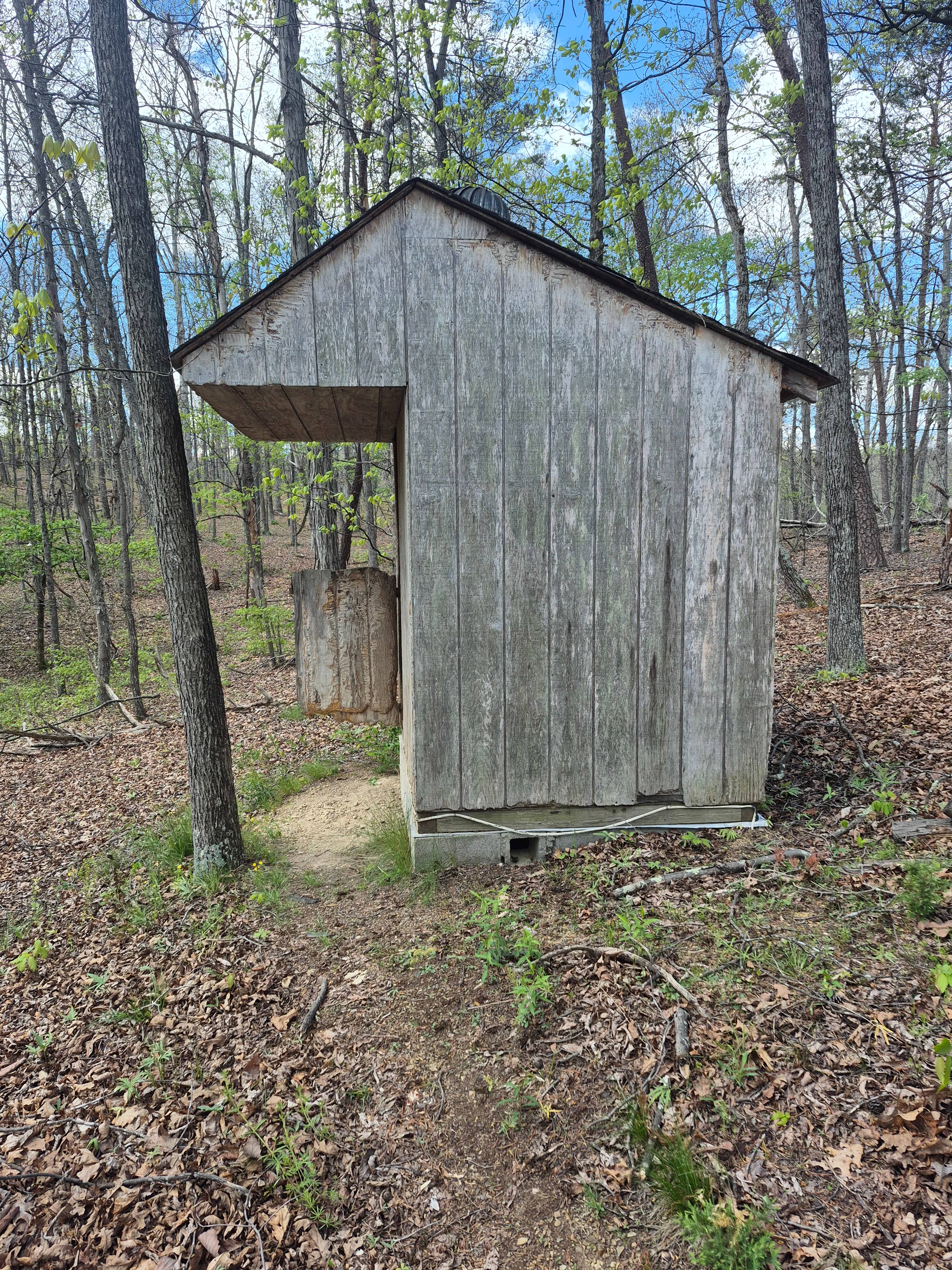 A 1000 Miles from Nowhere Cabin