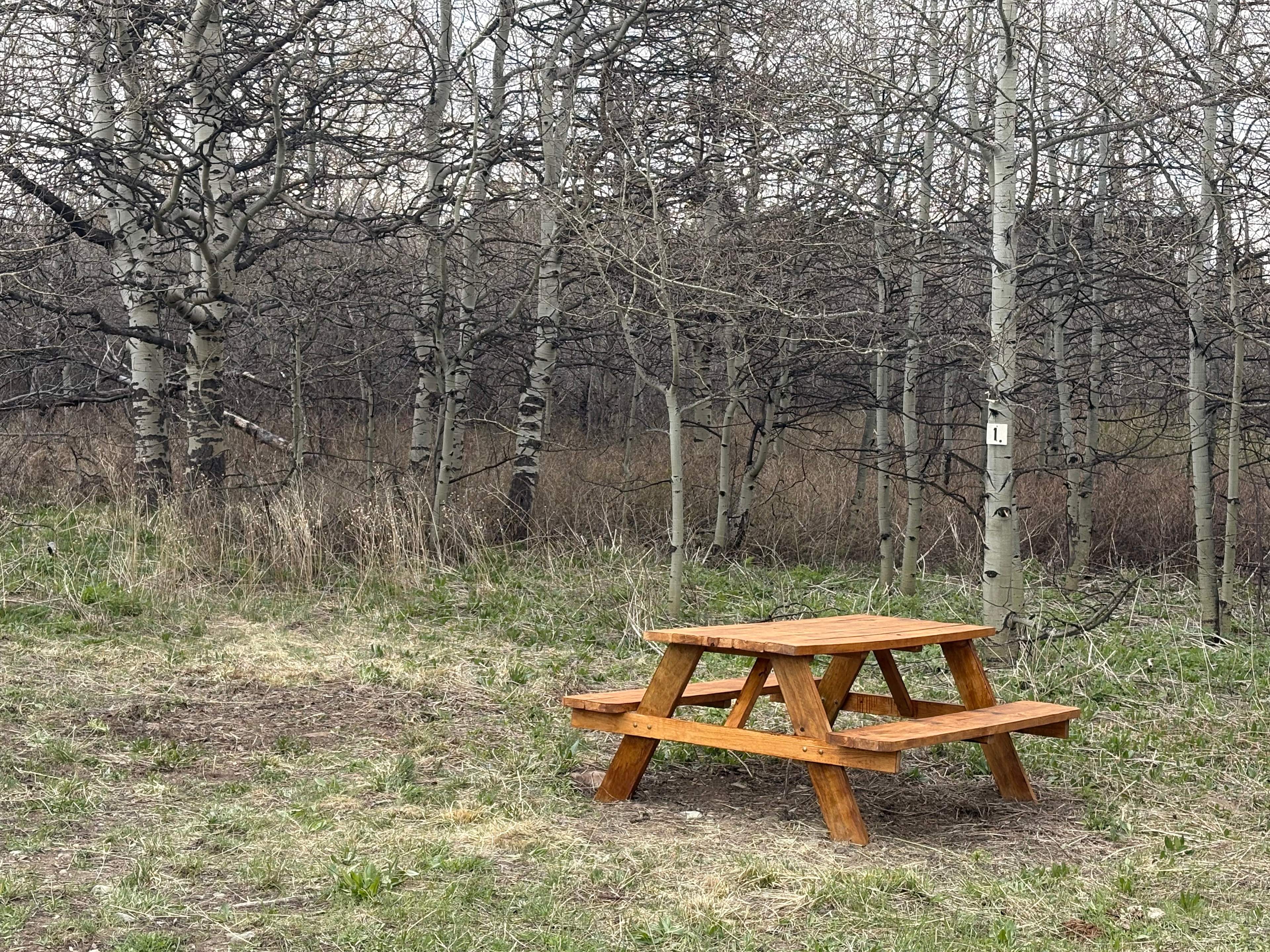 Midvale Creek Campground