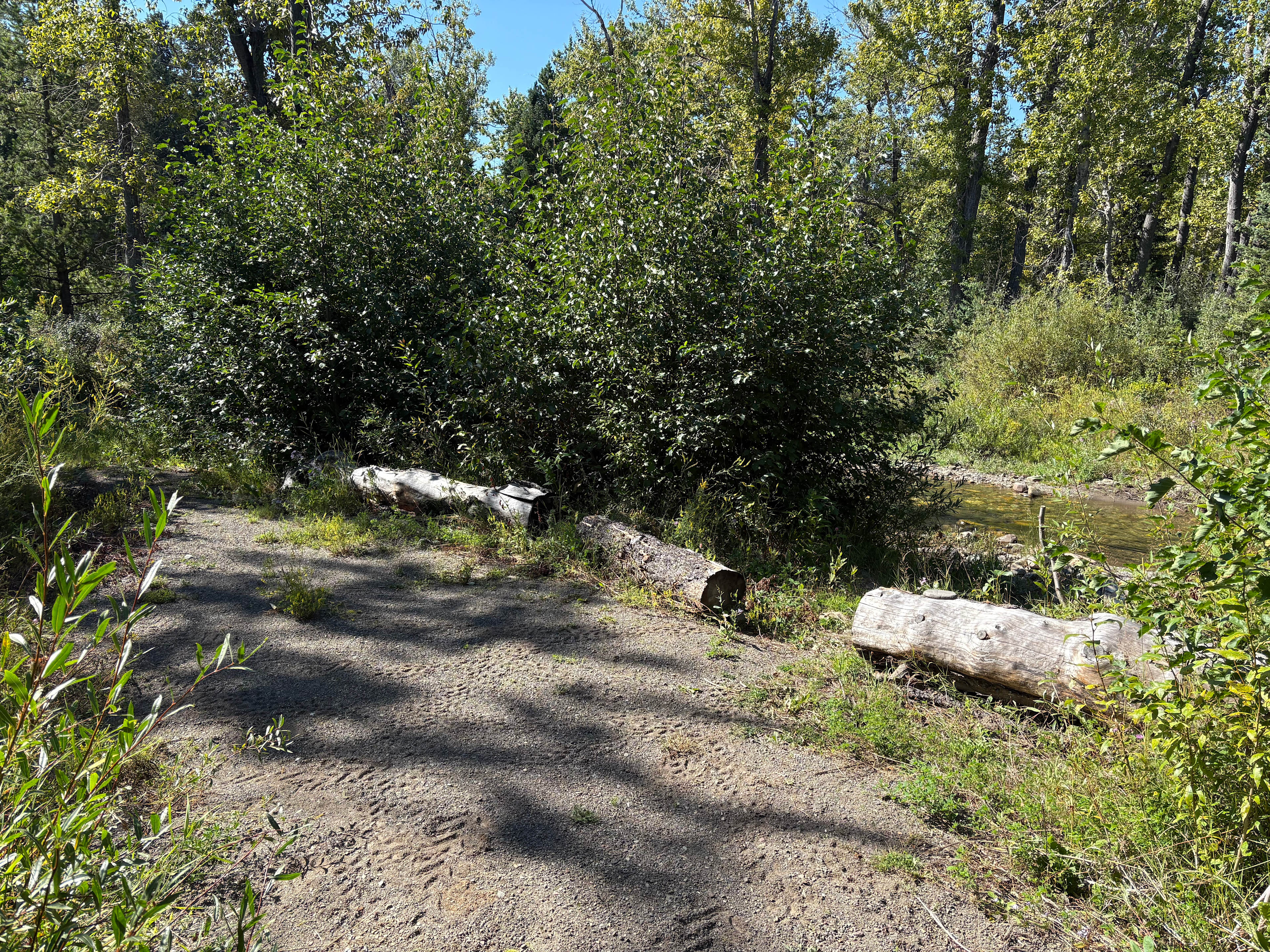 Midvale Creek Campground