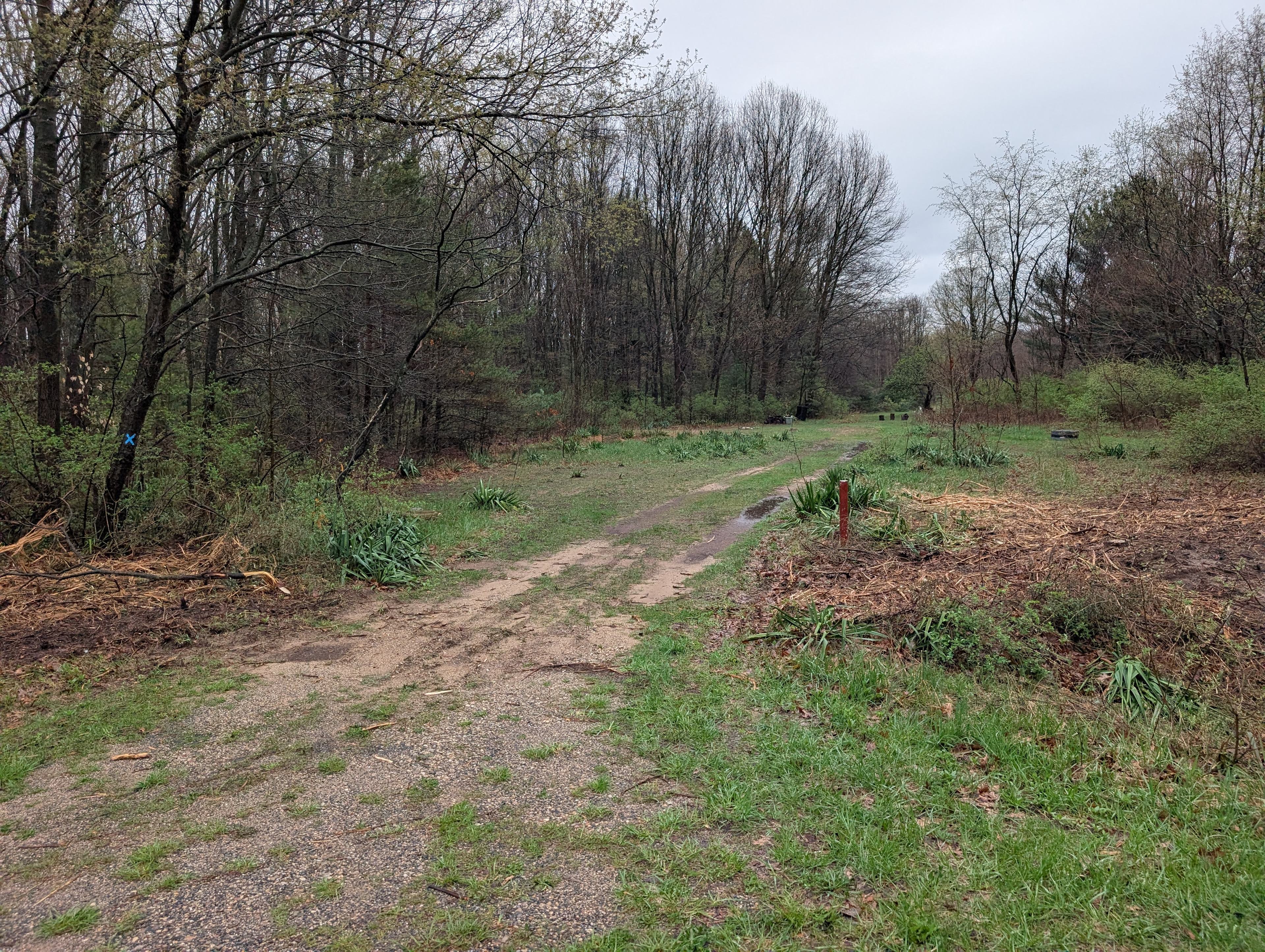 Side Drive Camp