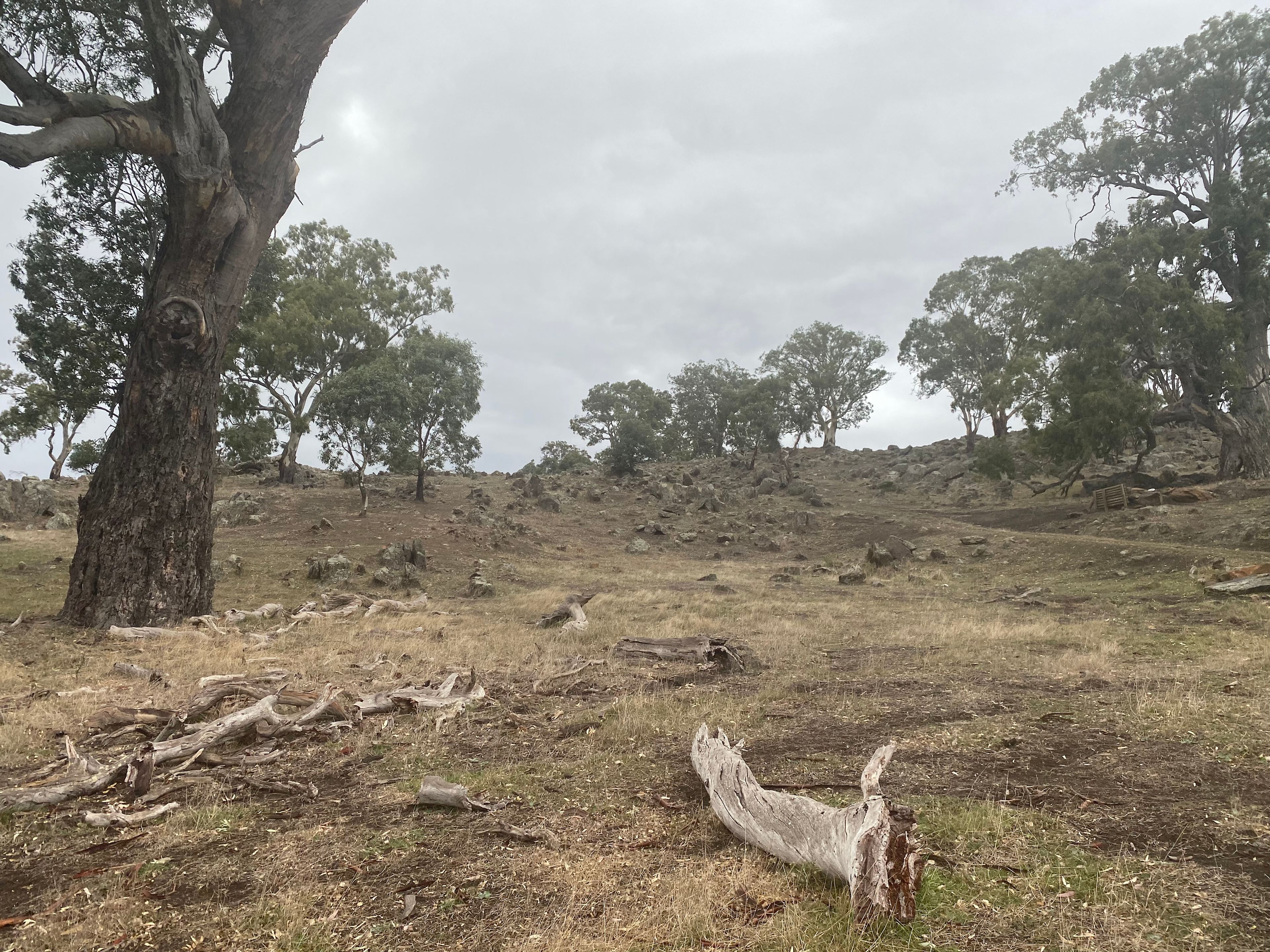 Rocky Valley Barossa Hideaway