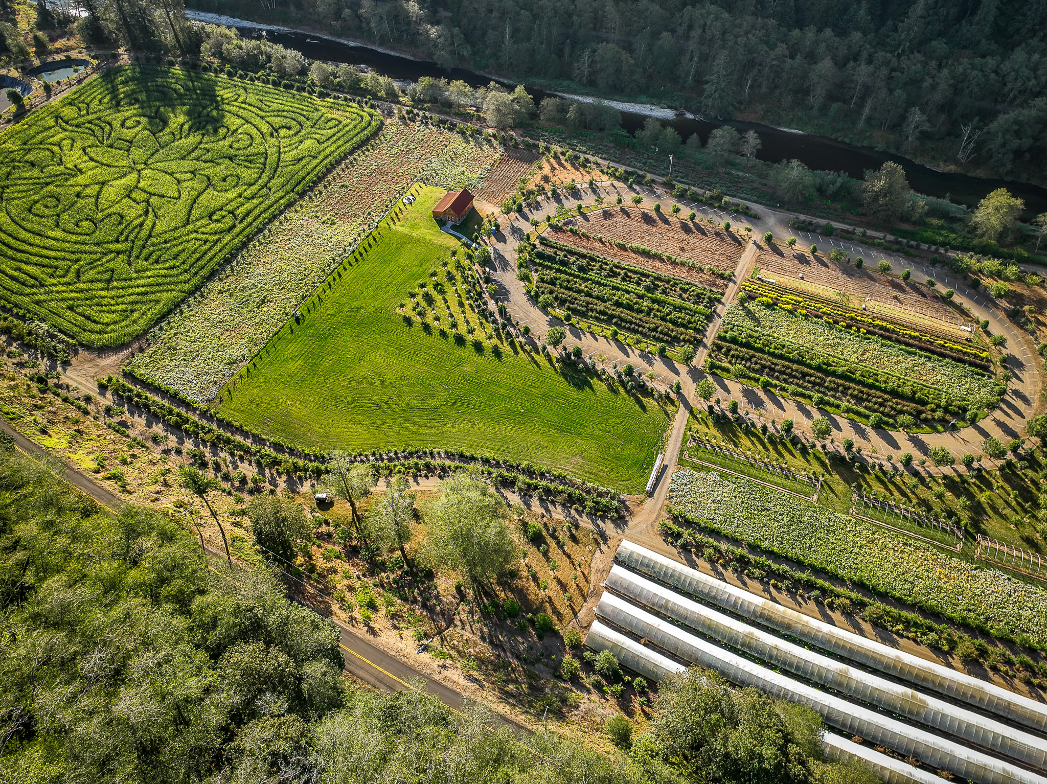 The Hydrangea Ranch