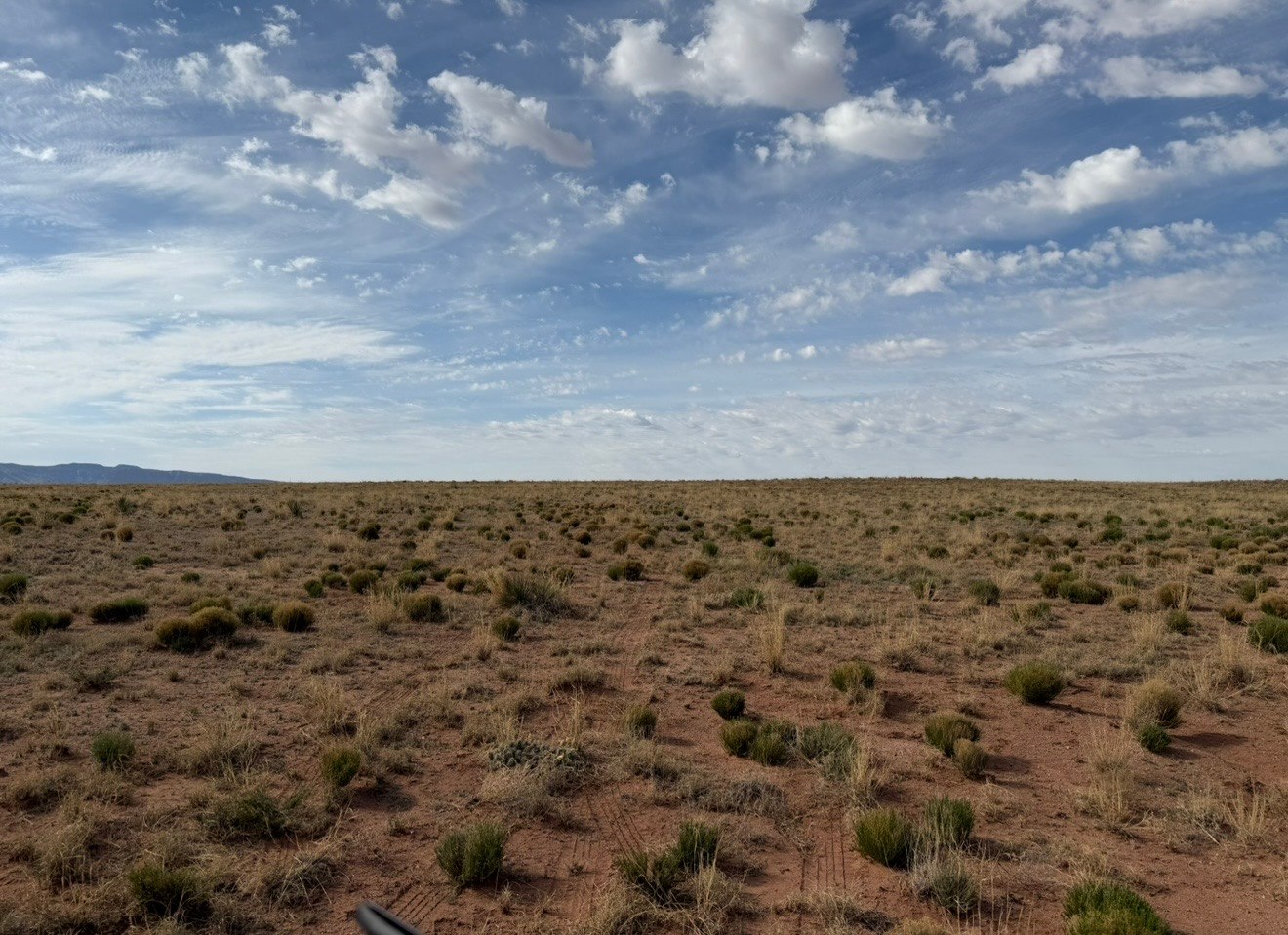 Vanlife Desert Escape Parking NM
