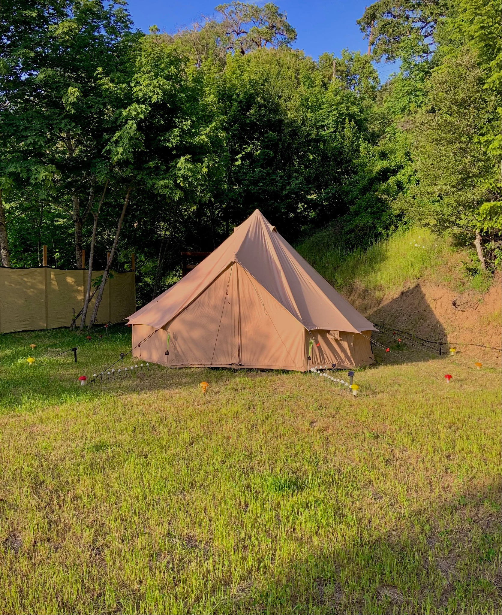 Whimsical Glamping! River,Redwoods+