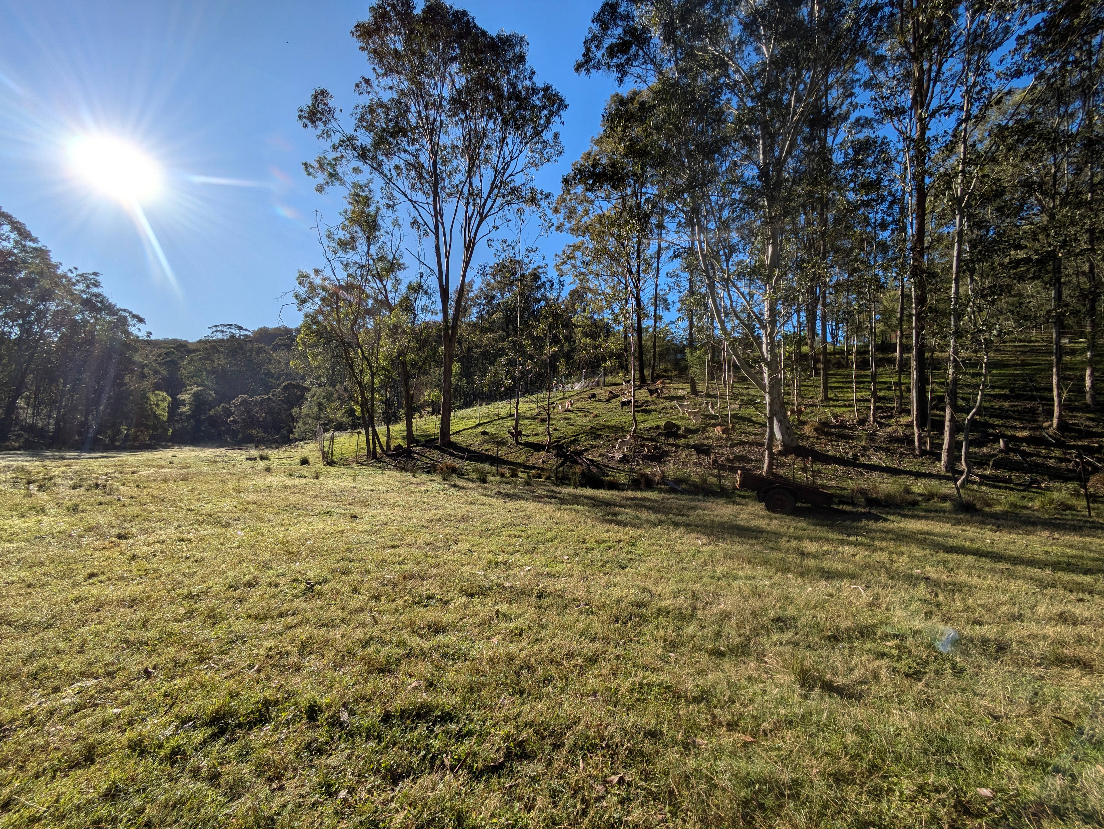 Flat valley floor camping area