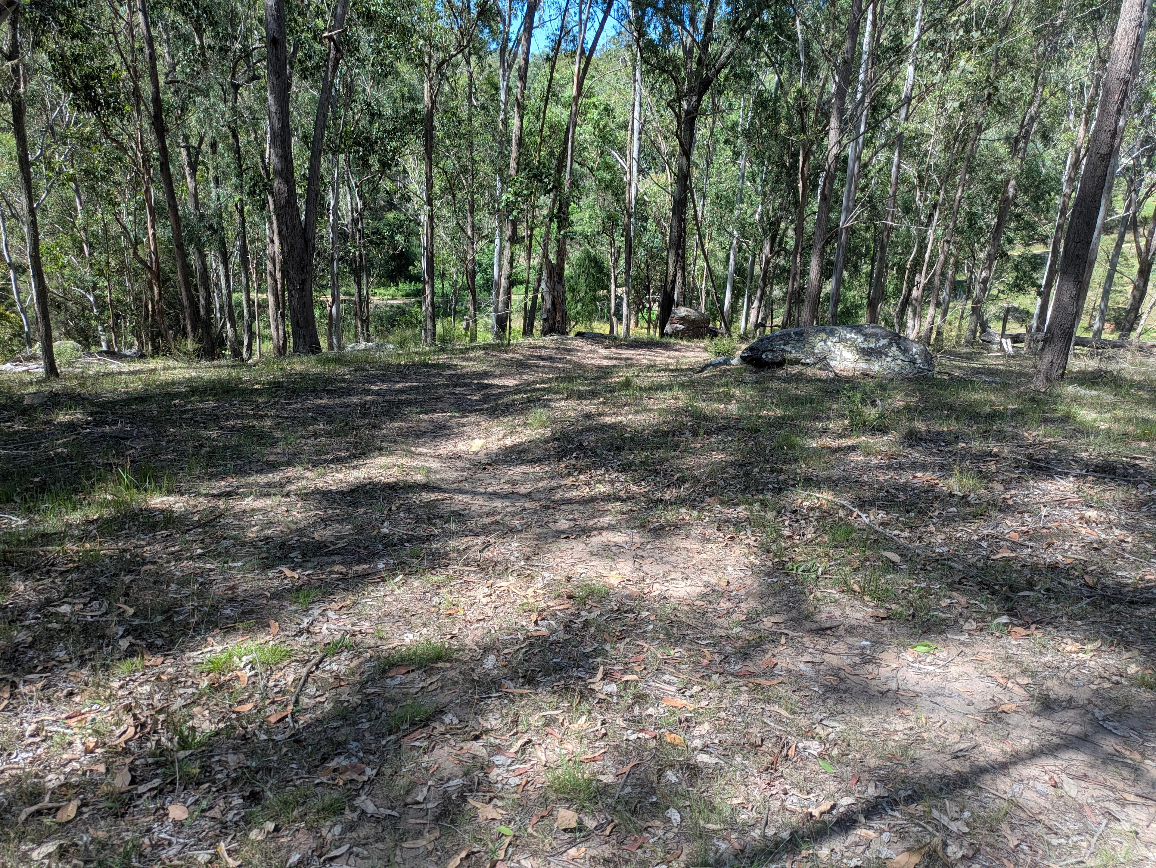Wollombi Valley Bushland Farm