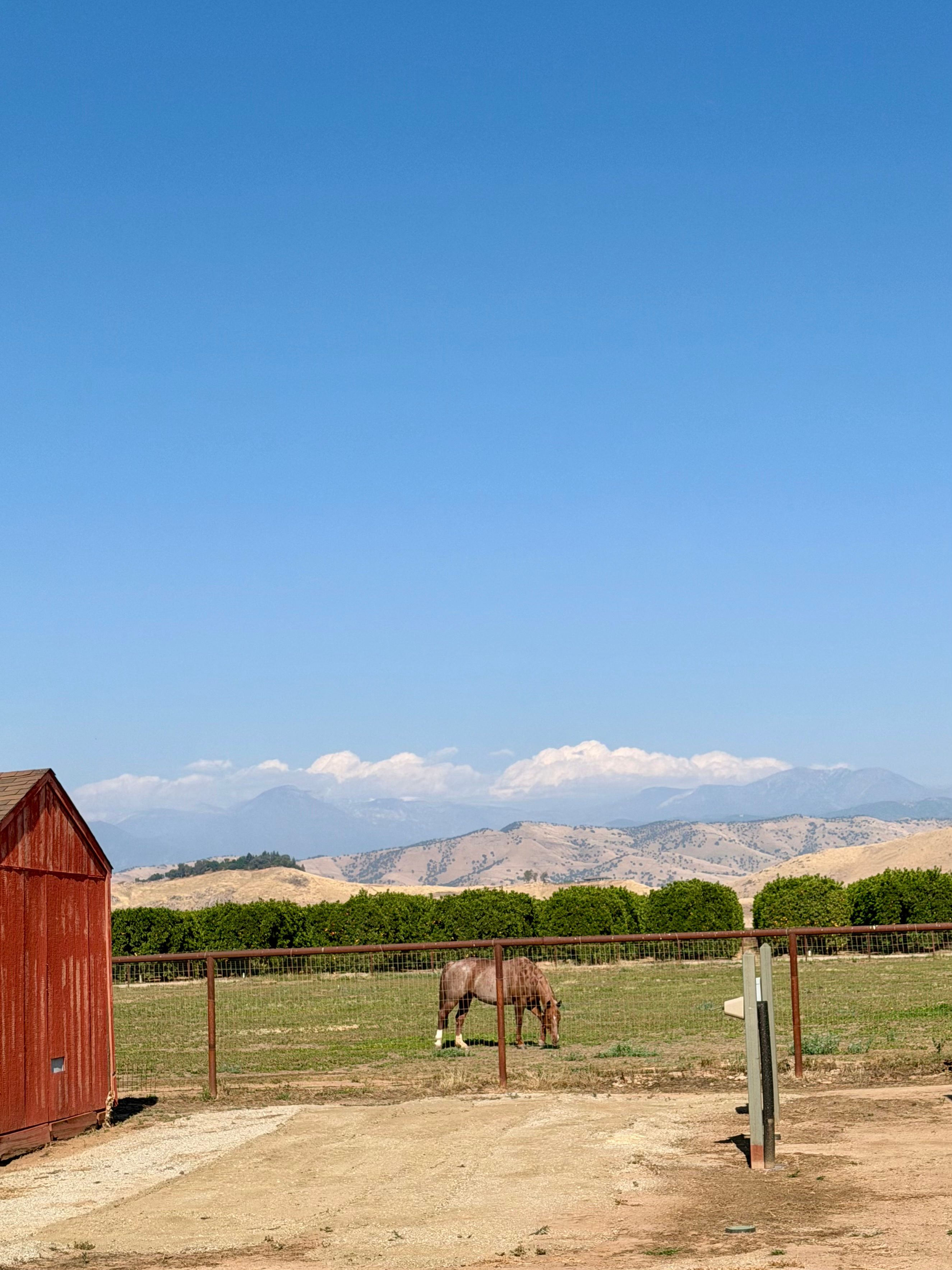 Sequoia View Ranch