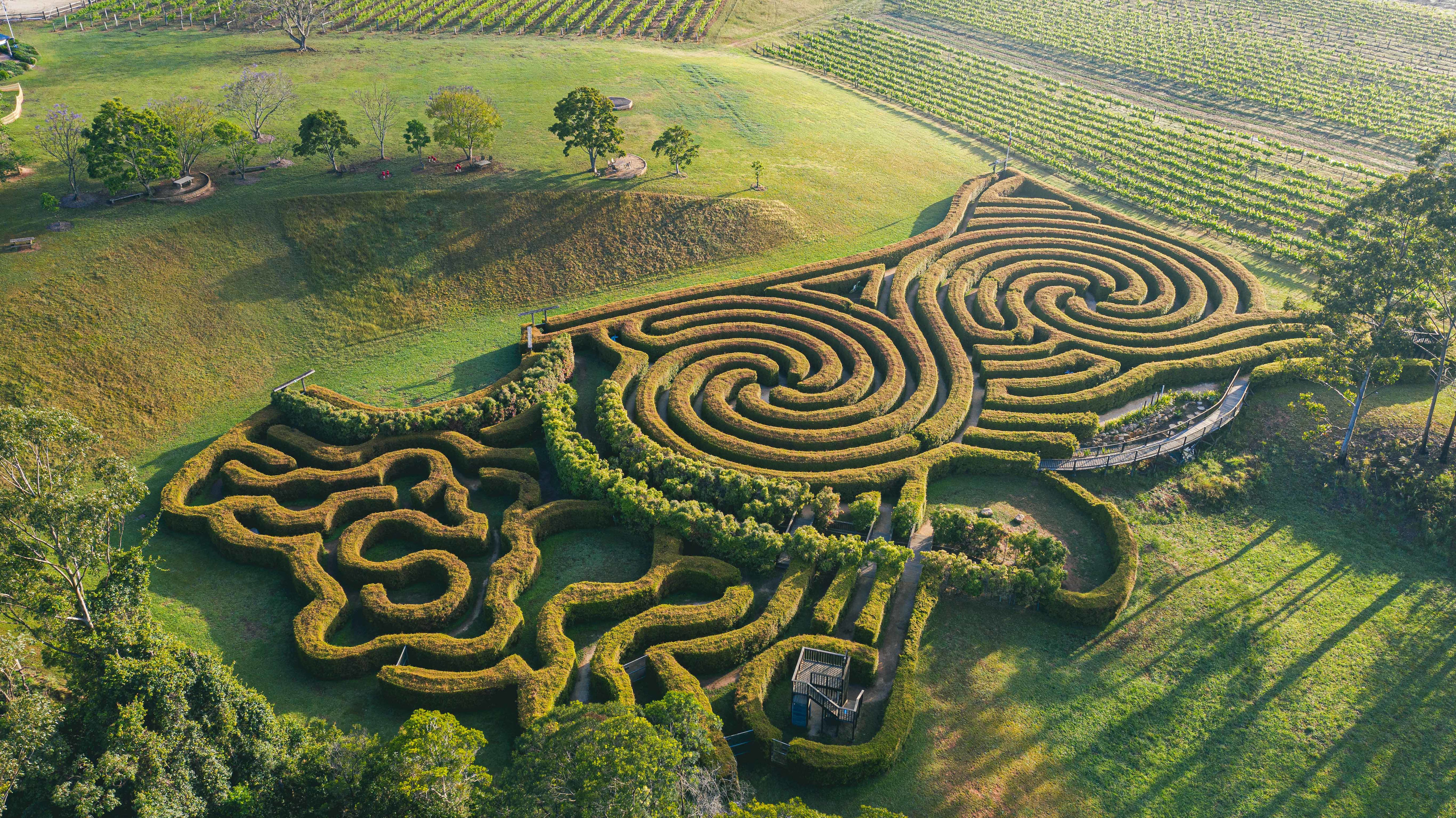 Bago Maze & Wine Mountain View Camp