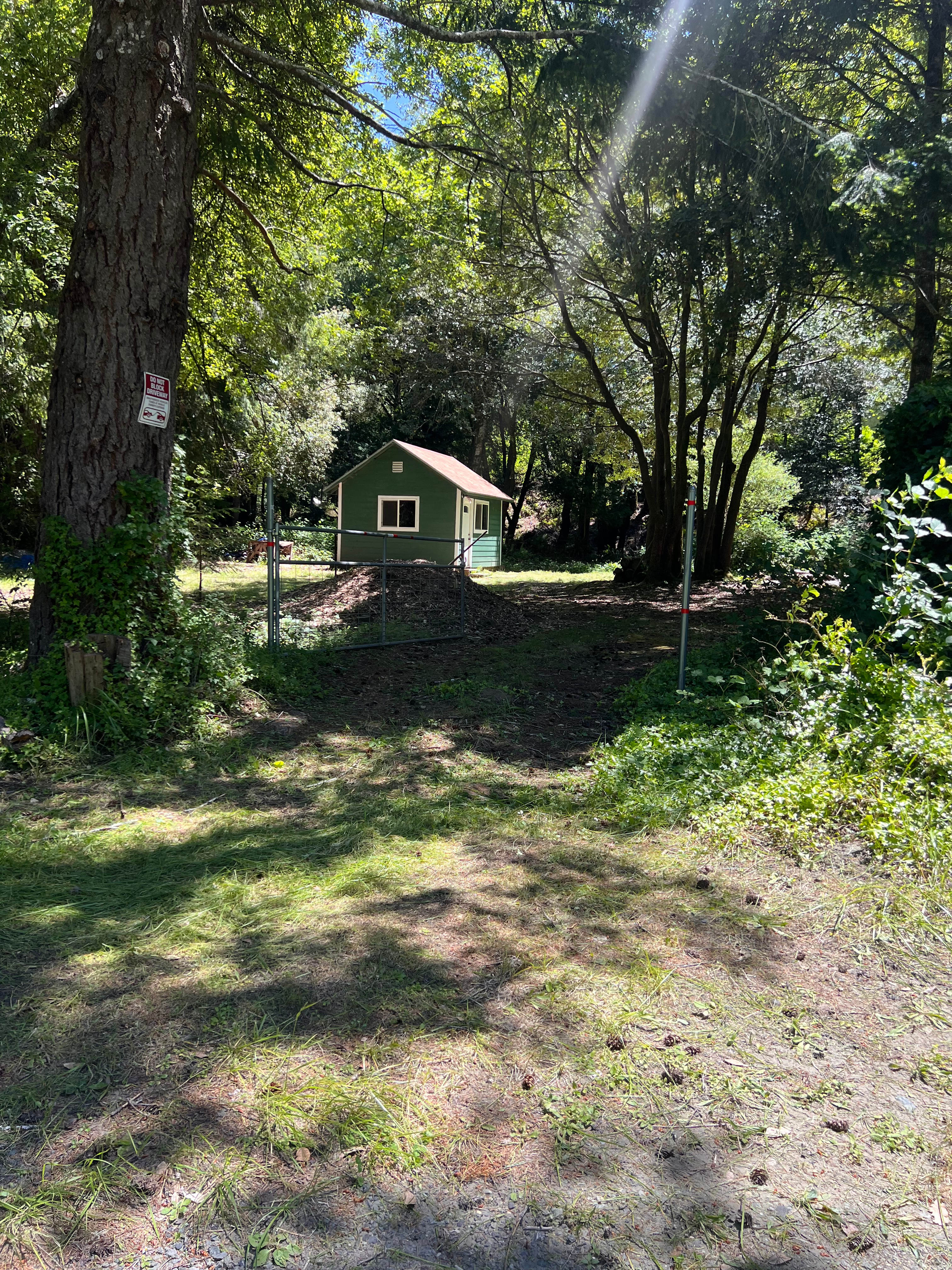 Camp Cedar