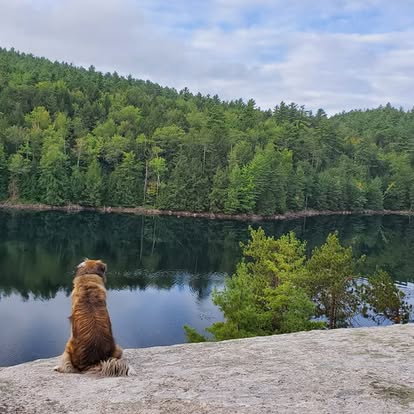 PRIVATE WATERFALL @ Davey Falls ADK