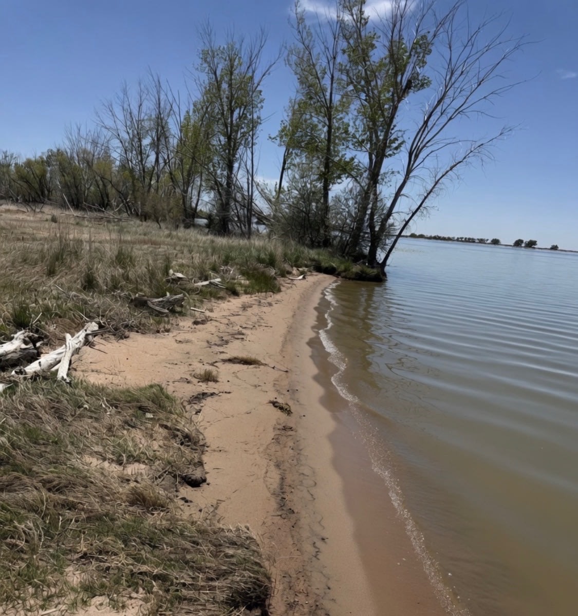 Lakefront-Jackson Reservoir