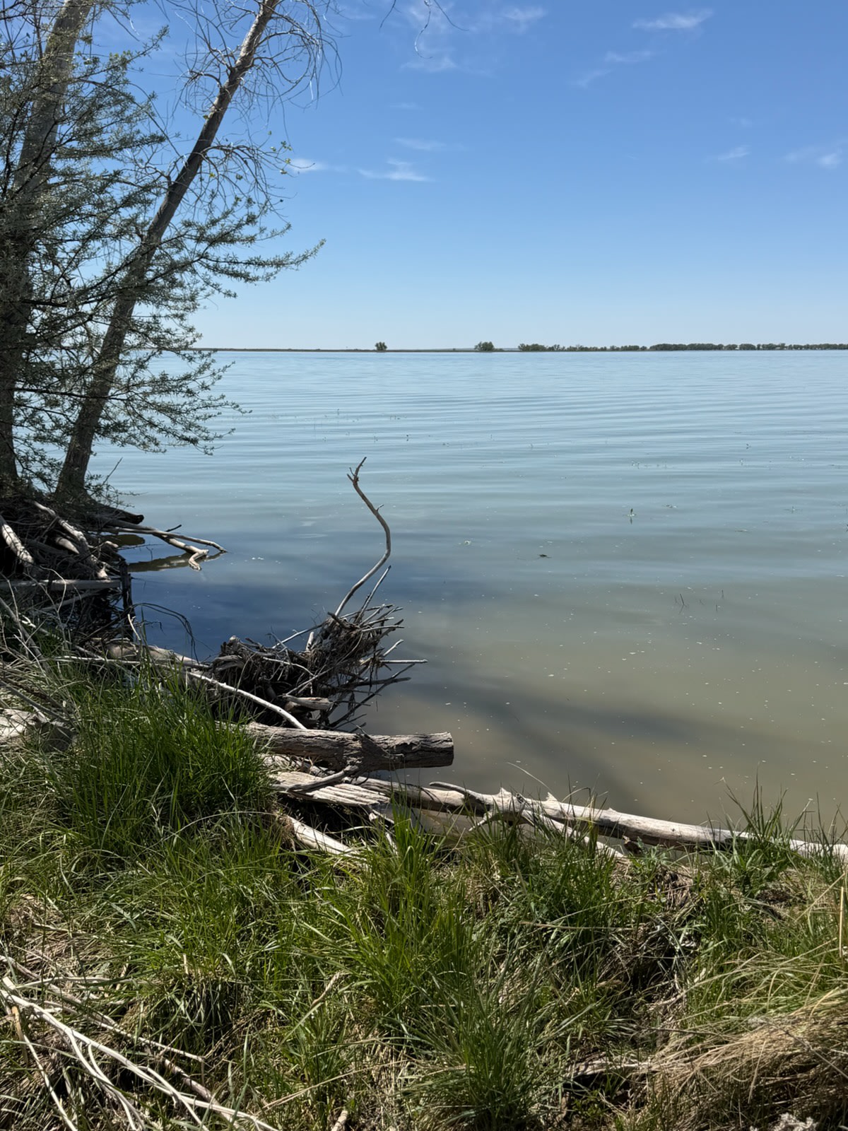 Lakefront-Jackson Reservoir
