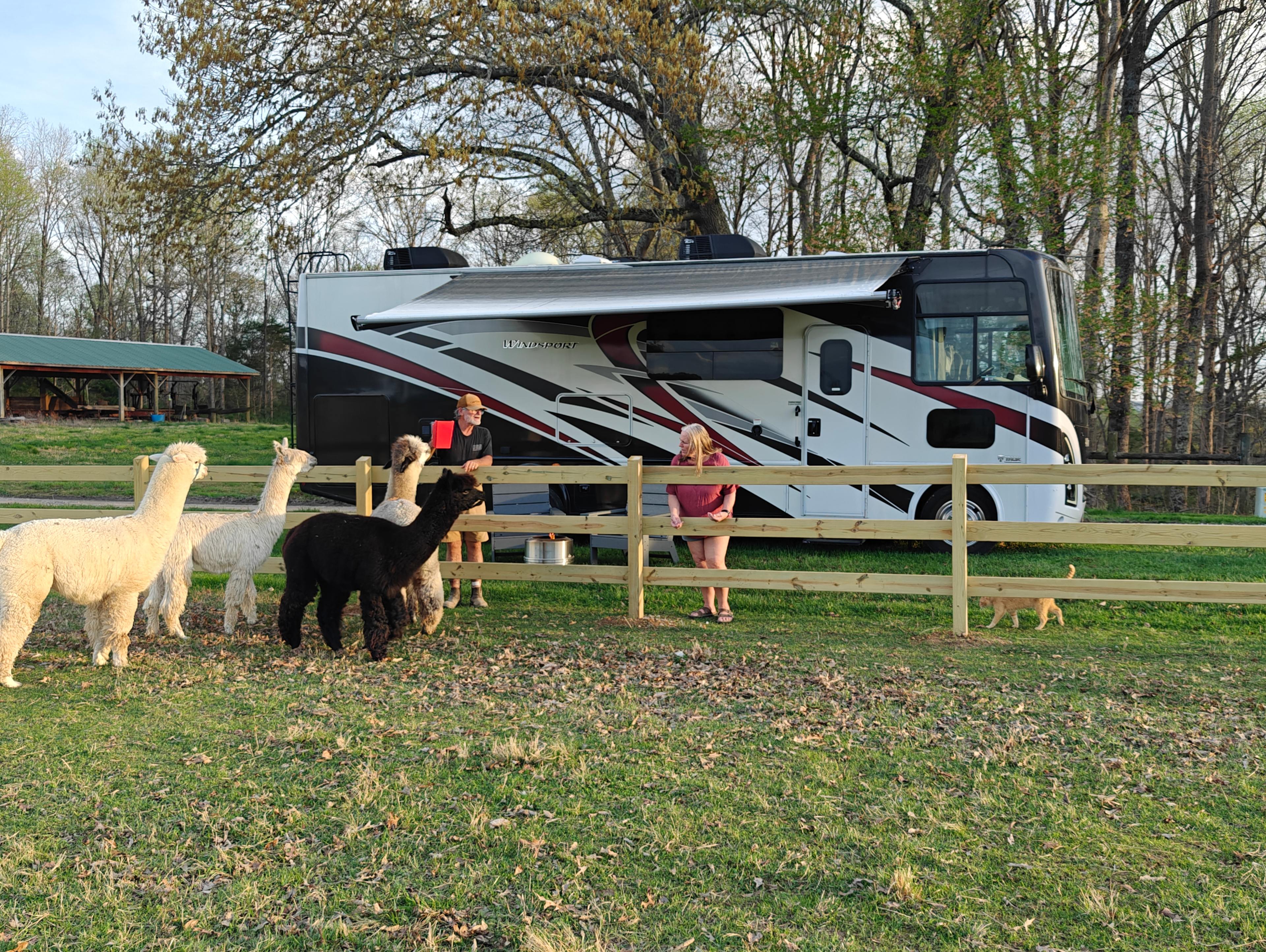 Tapestry Acres Farm & Camping