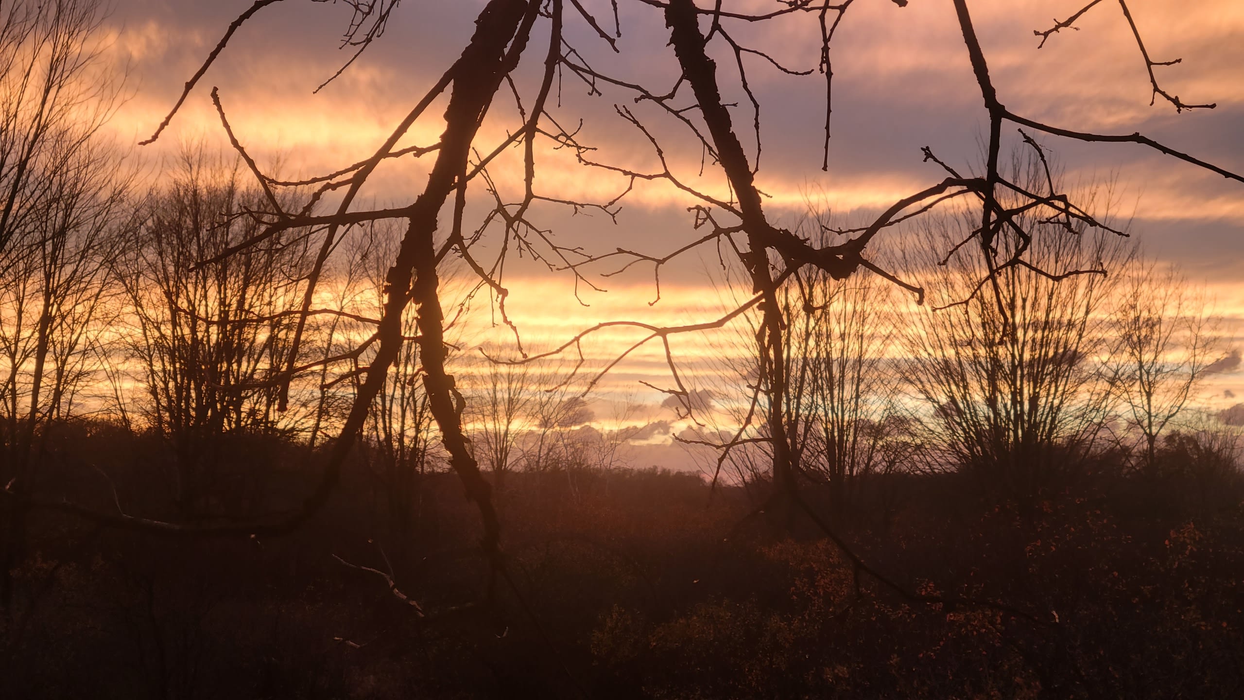 Whitetail acres @ 9 Point Creek