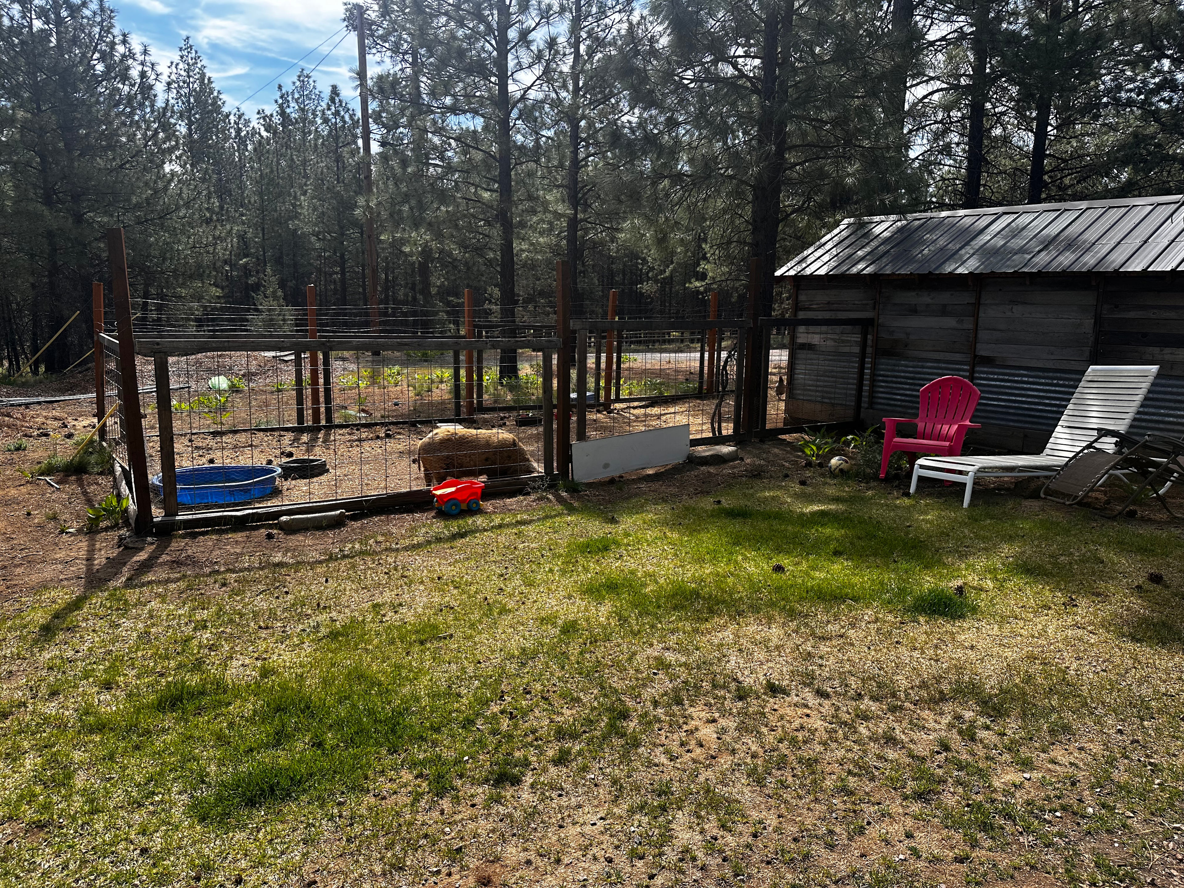 A view of our upper yard area near the play set. 