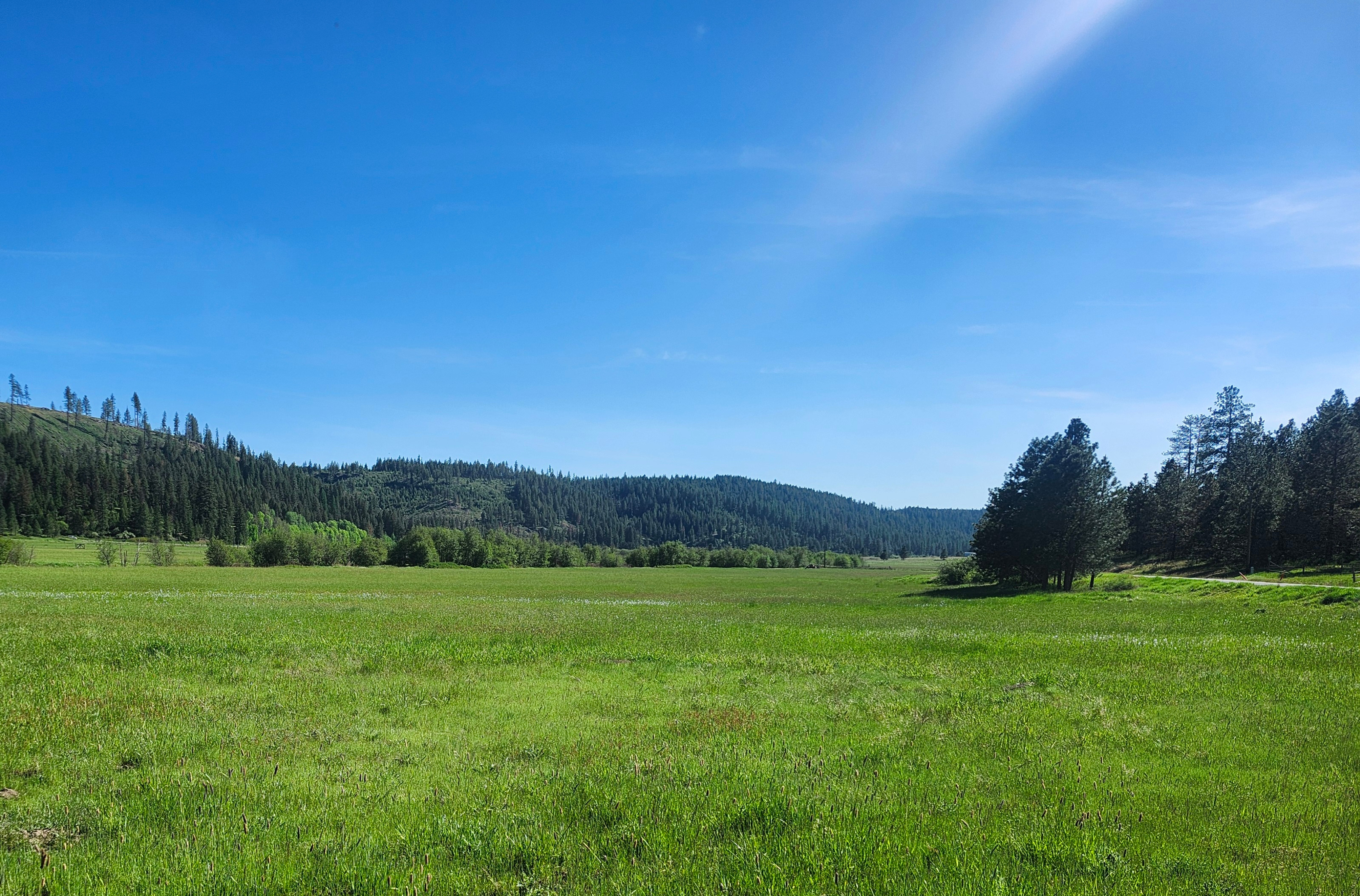 Merry Meadows