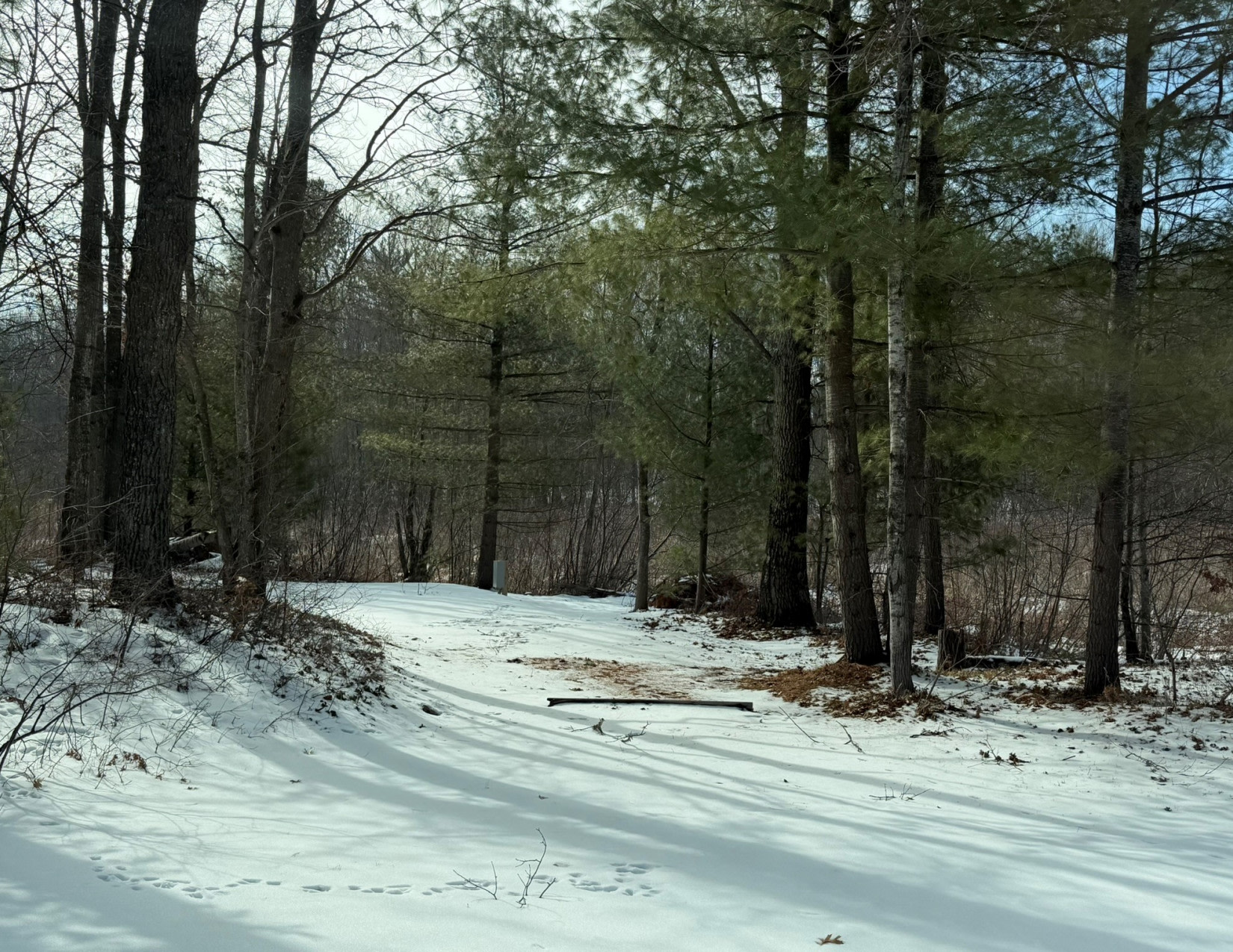 Trails R Us