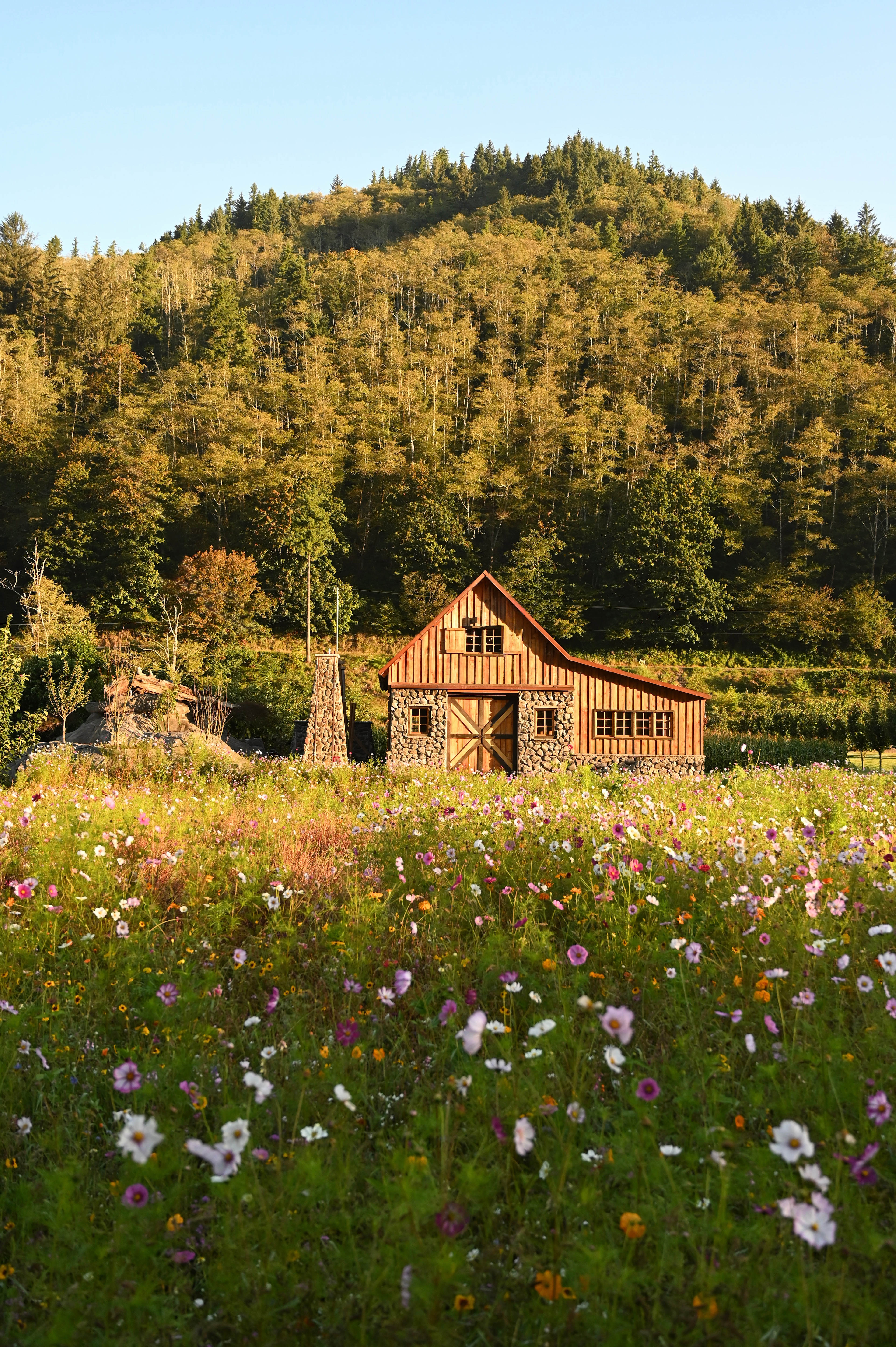 The Hydrangea Ranch