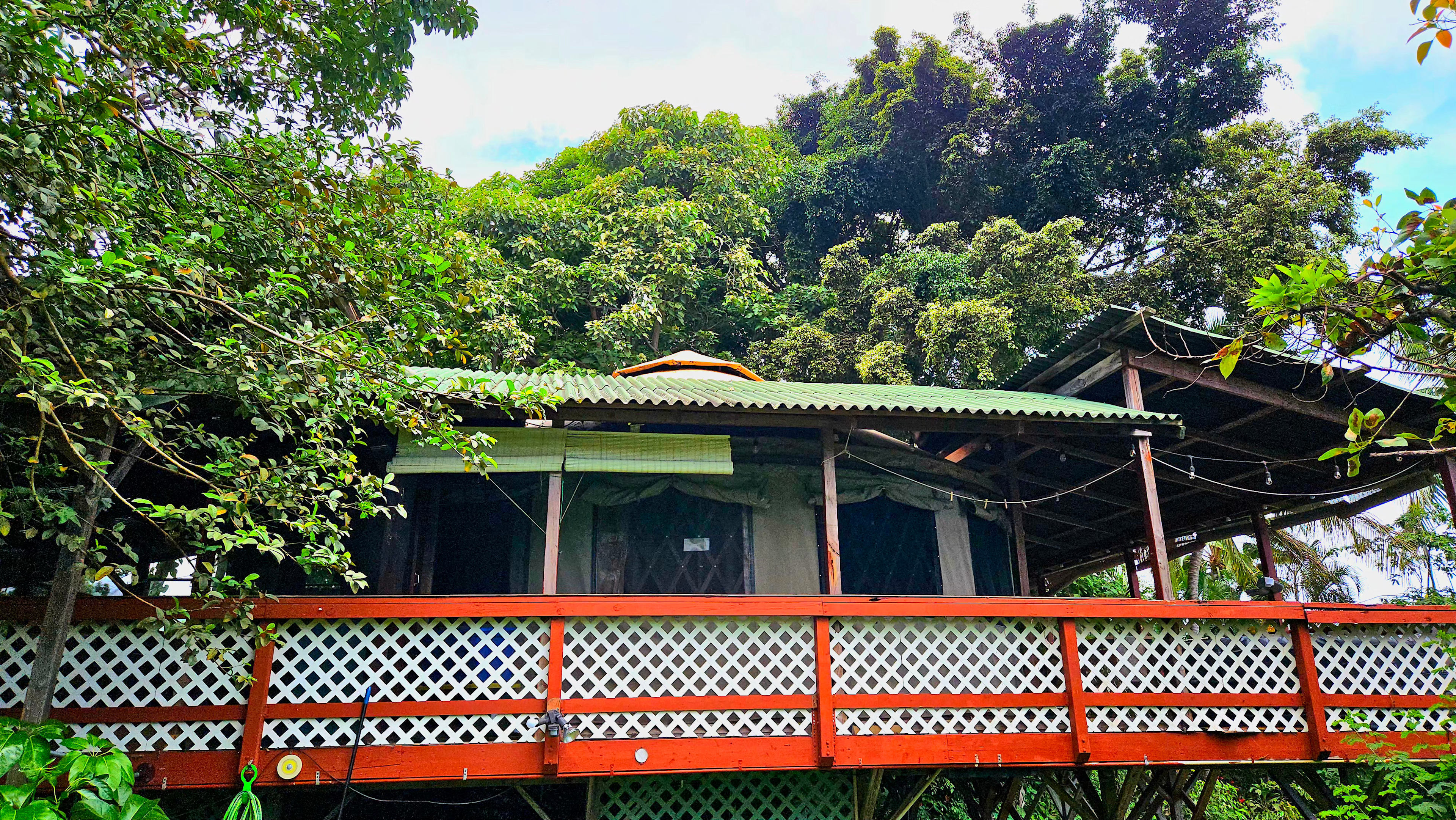 Kona Coffee Sunset treehouse YURT