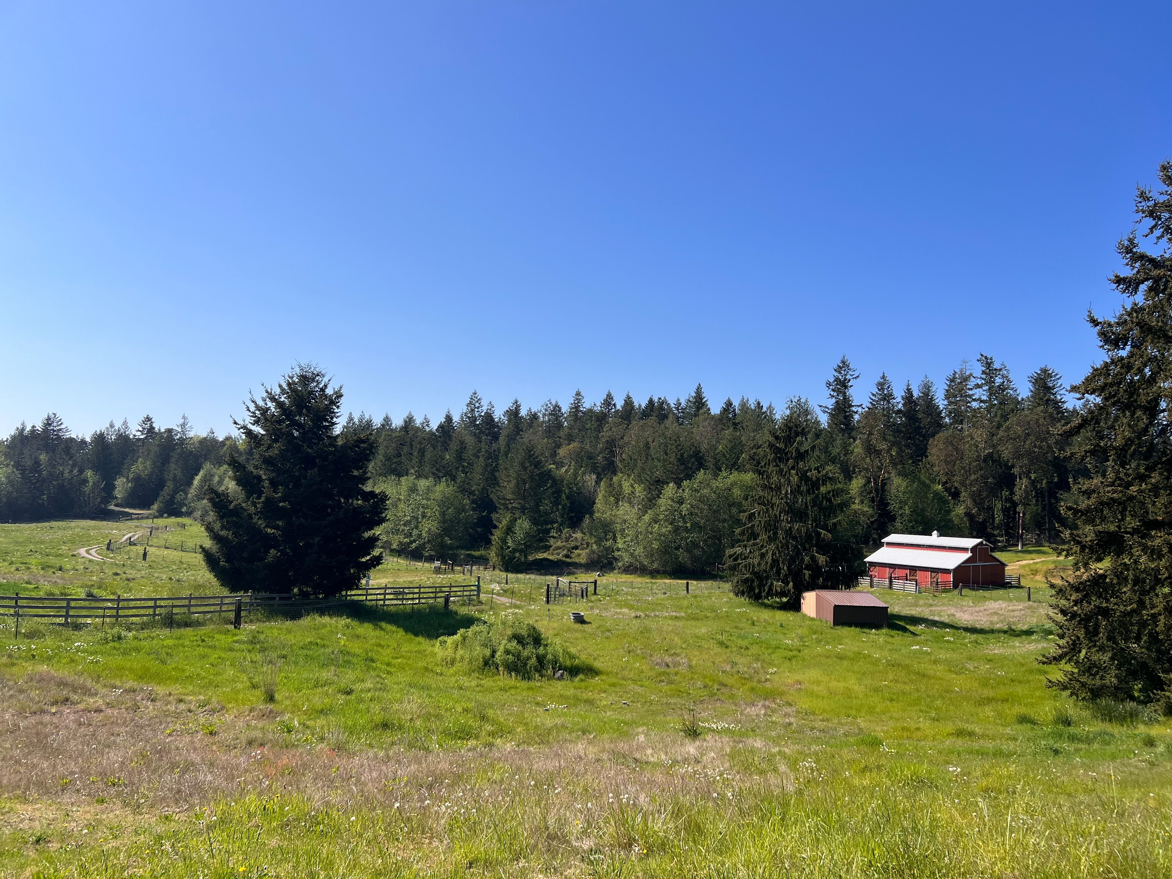 Aya Sol Woodsy Oasis in Sequim