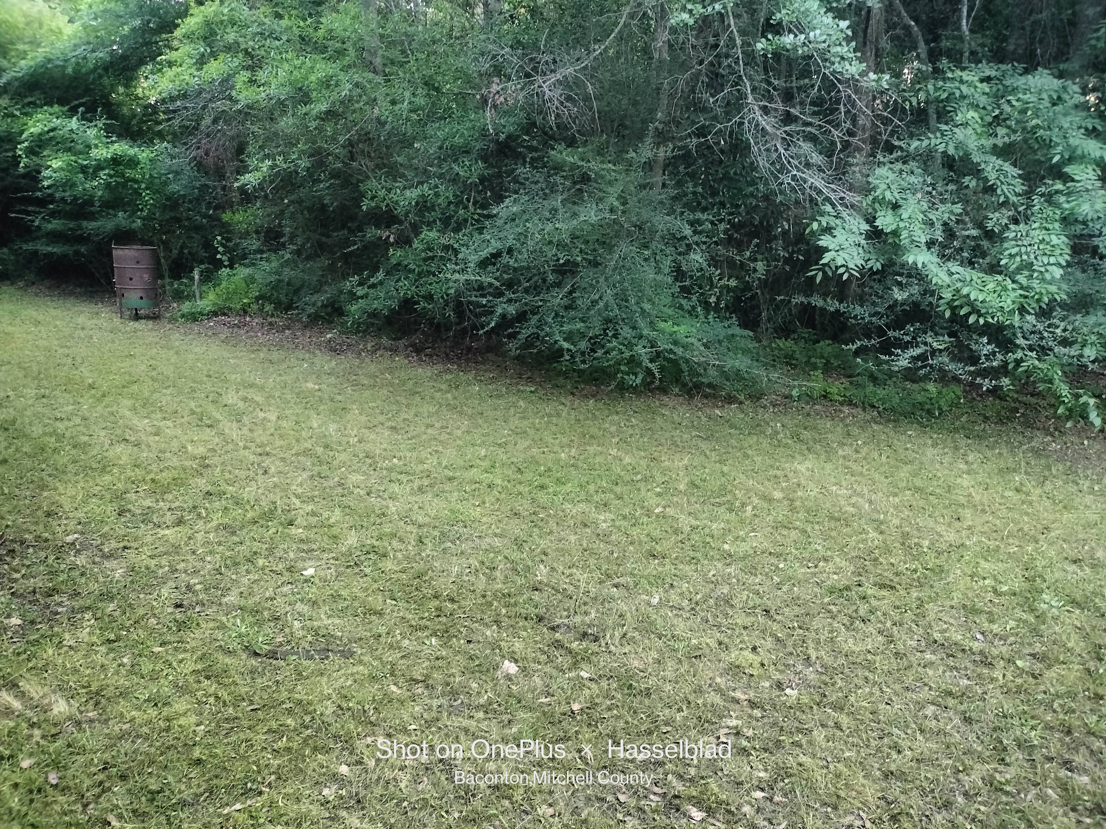 Flint River Springs Camp