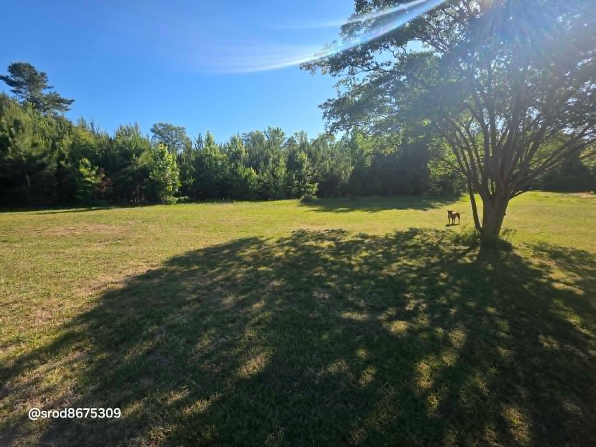 Cannon Acres