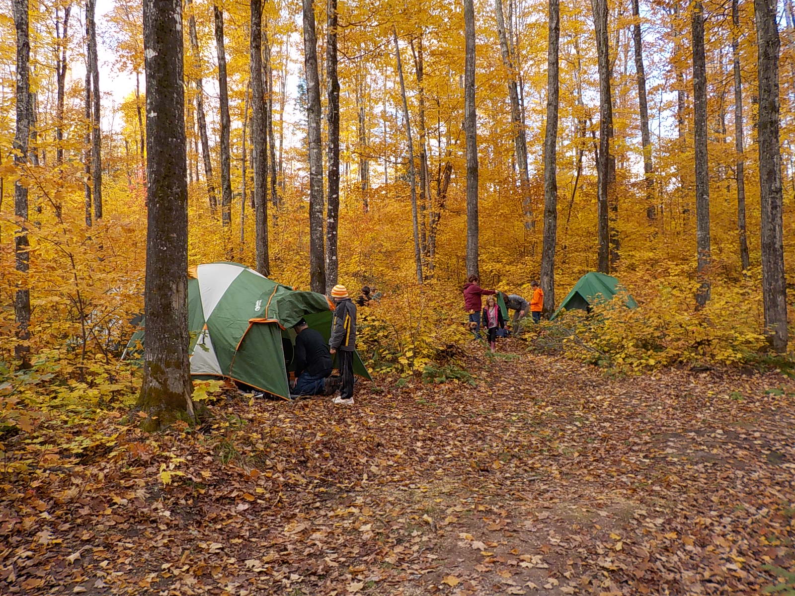 Yellow Dog River Forest Retreat