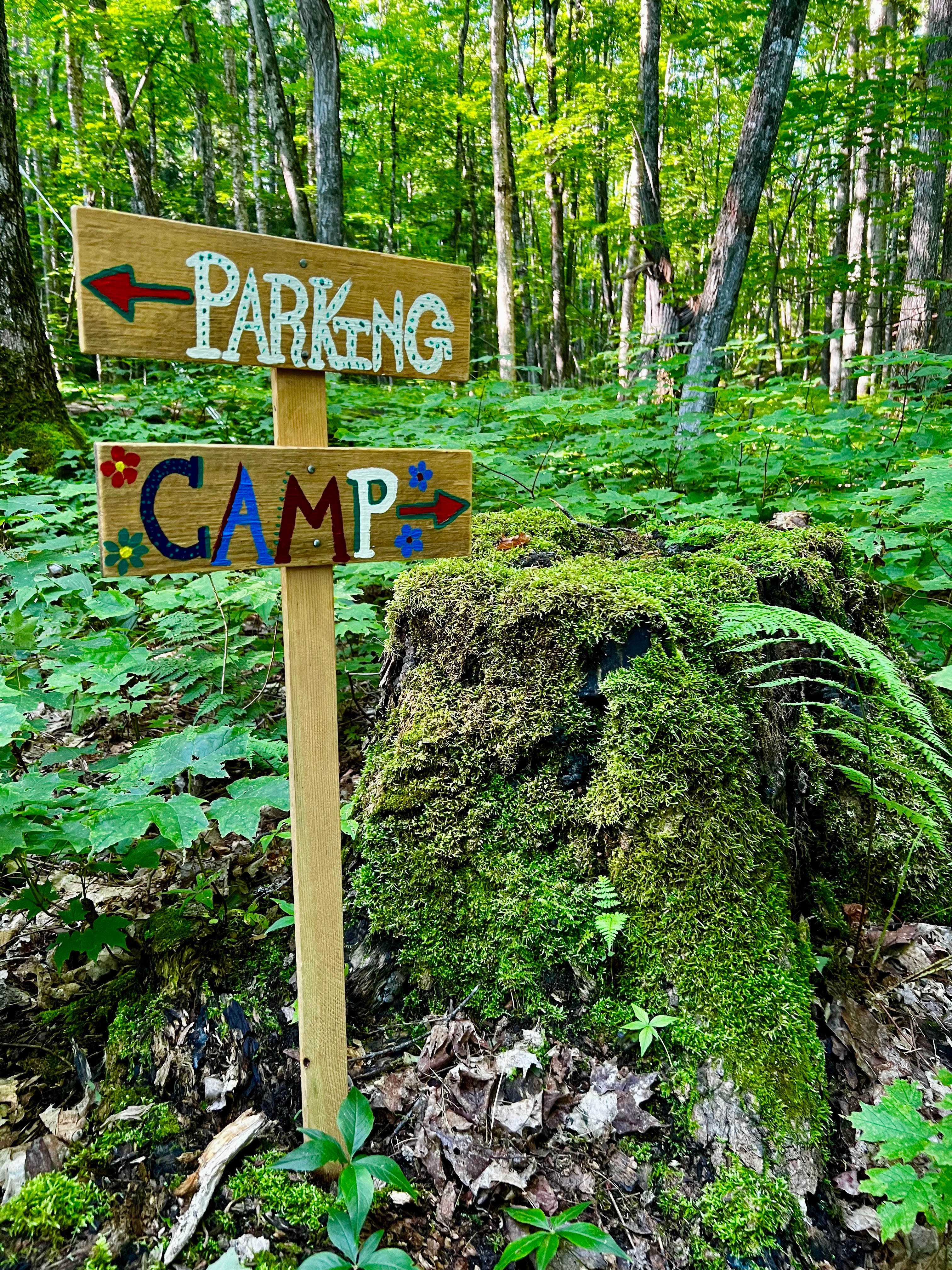 Yellow Dog River Forest Retreat