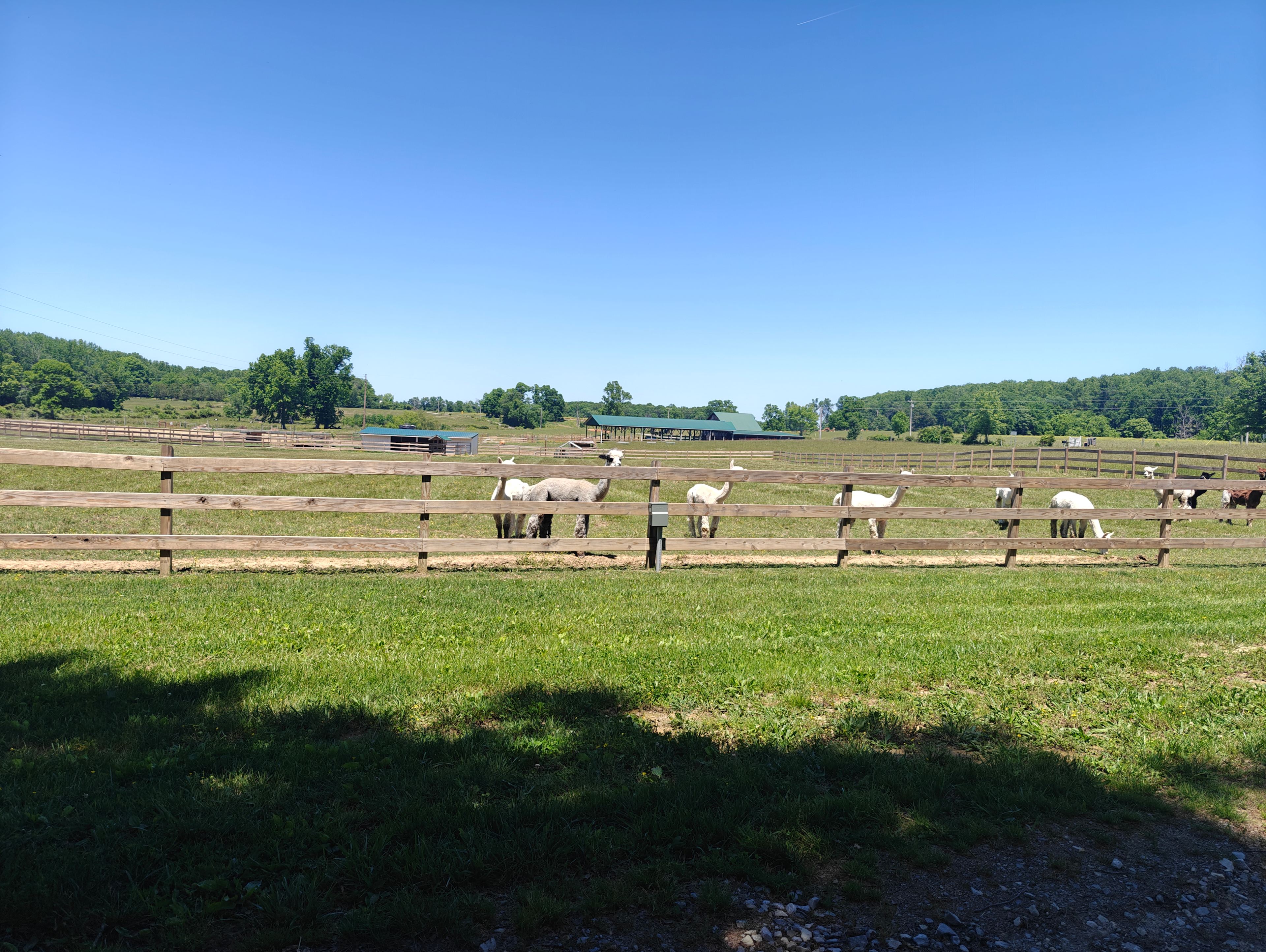Tapestry Acres Farm & Camping
