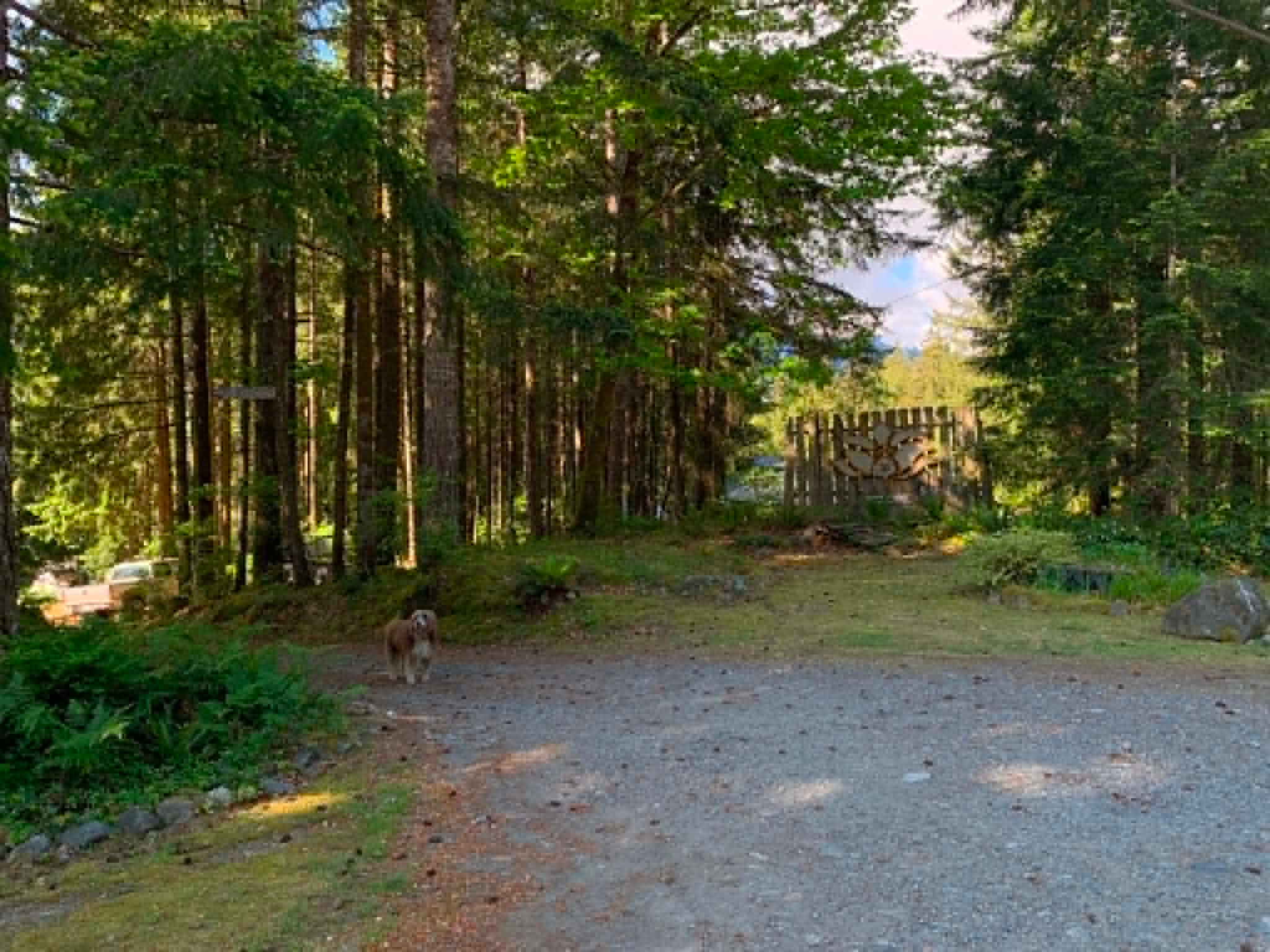 Look for this big wooden lotus sign at the roadside and drive on down.  Thats Willow, she barks to let us know you are here, but she wont bite.