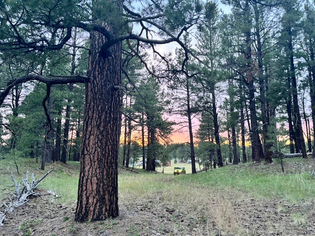 Private Ponderosa Paradise Camp