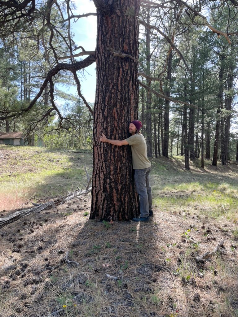 Private Ponderosa Paradise Camp