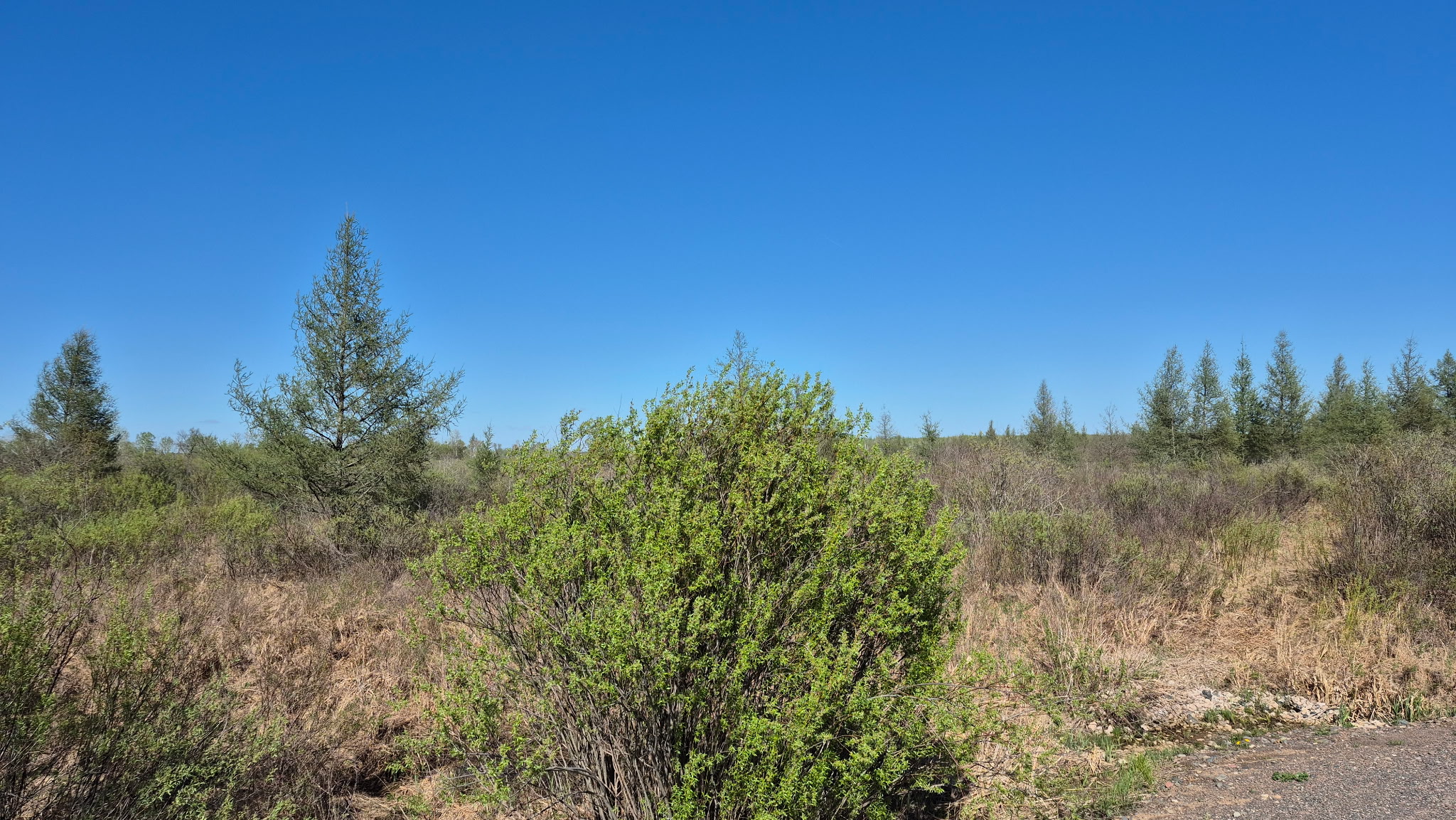 Nature Trail Camp near BigSandyLake