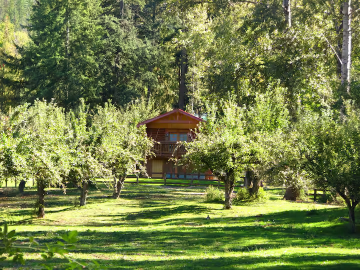 Shadow Mountain Cabins