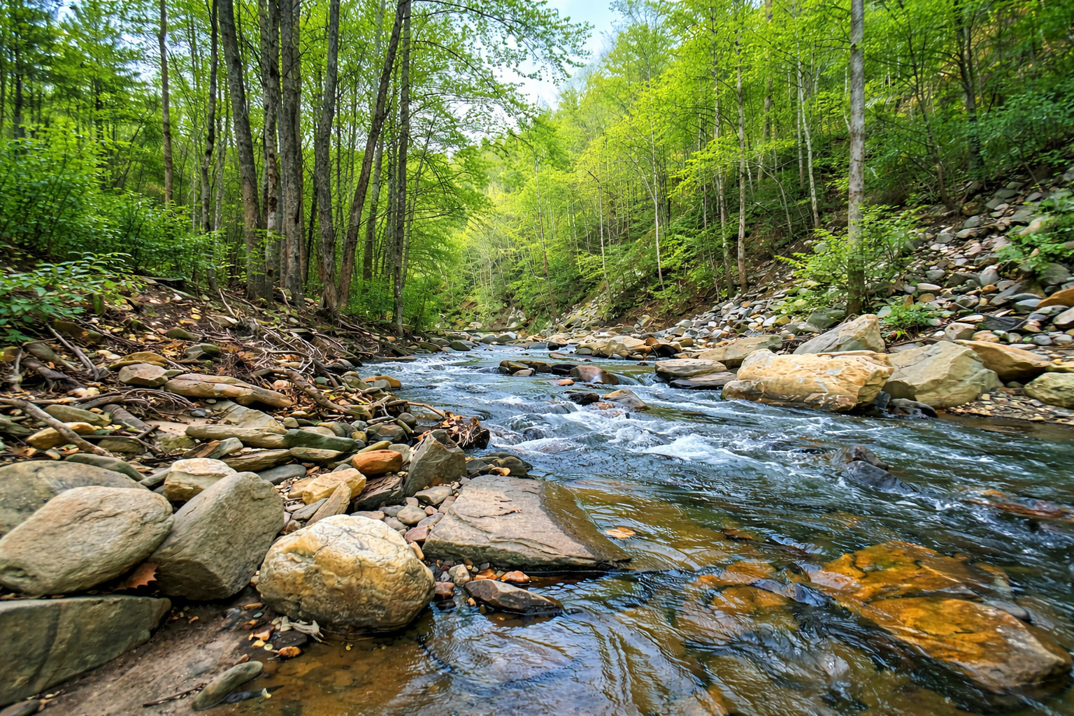 Explore, unwind, and reconnect beside nearly 1 mile of flowing mountain creek