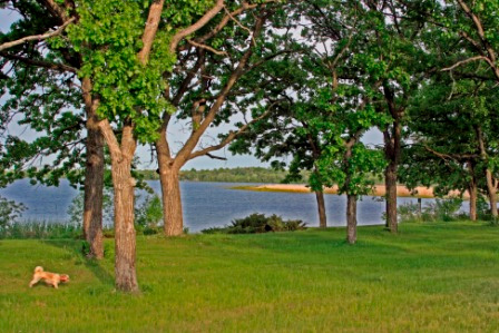 Walker Lake Preserve