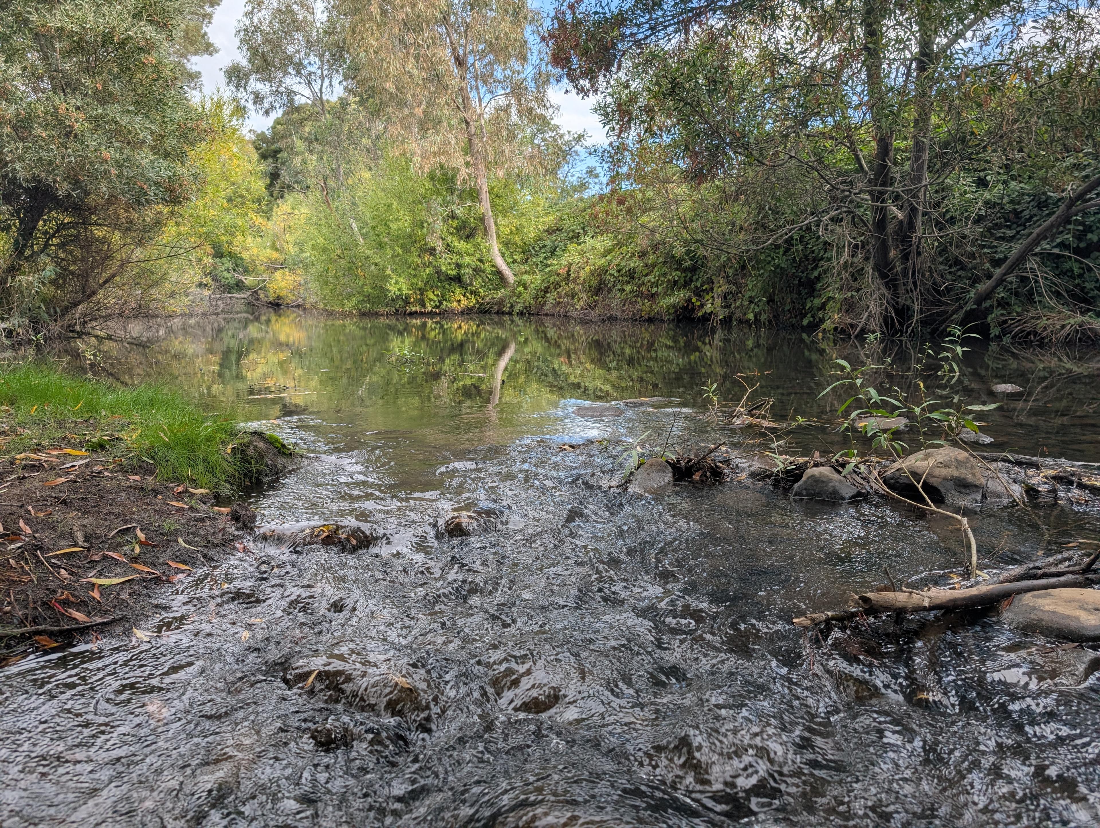 Camp Pethybridge