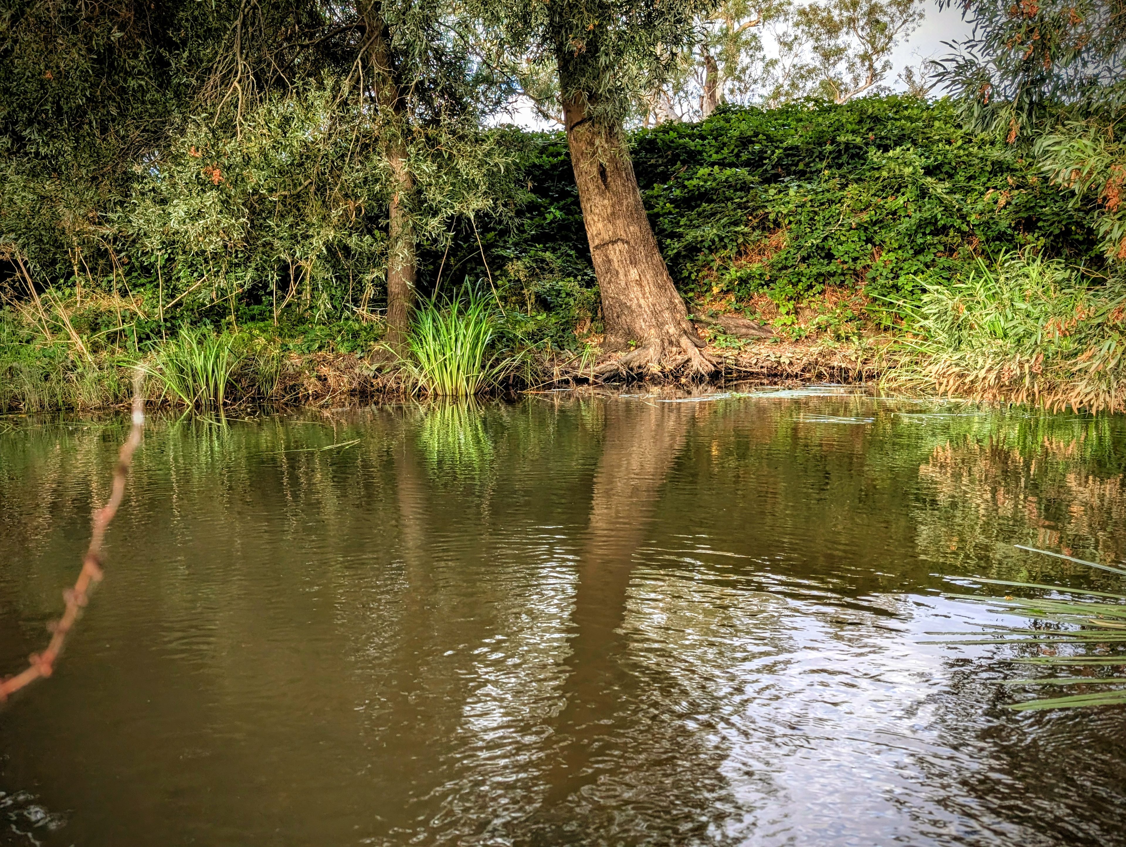 Camp Pethybridge