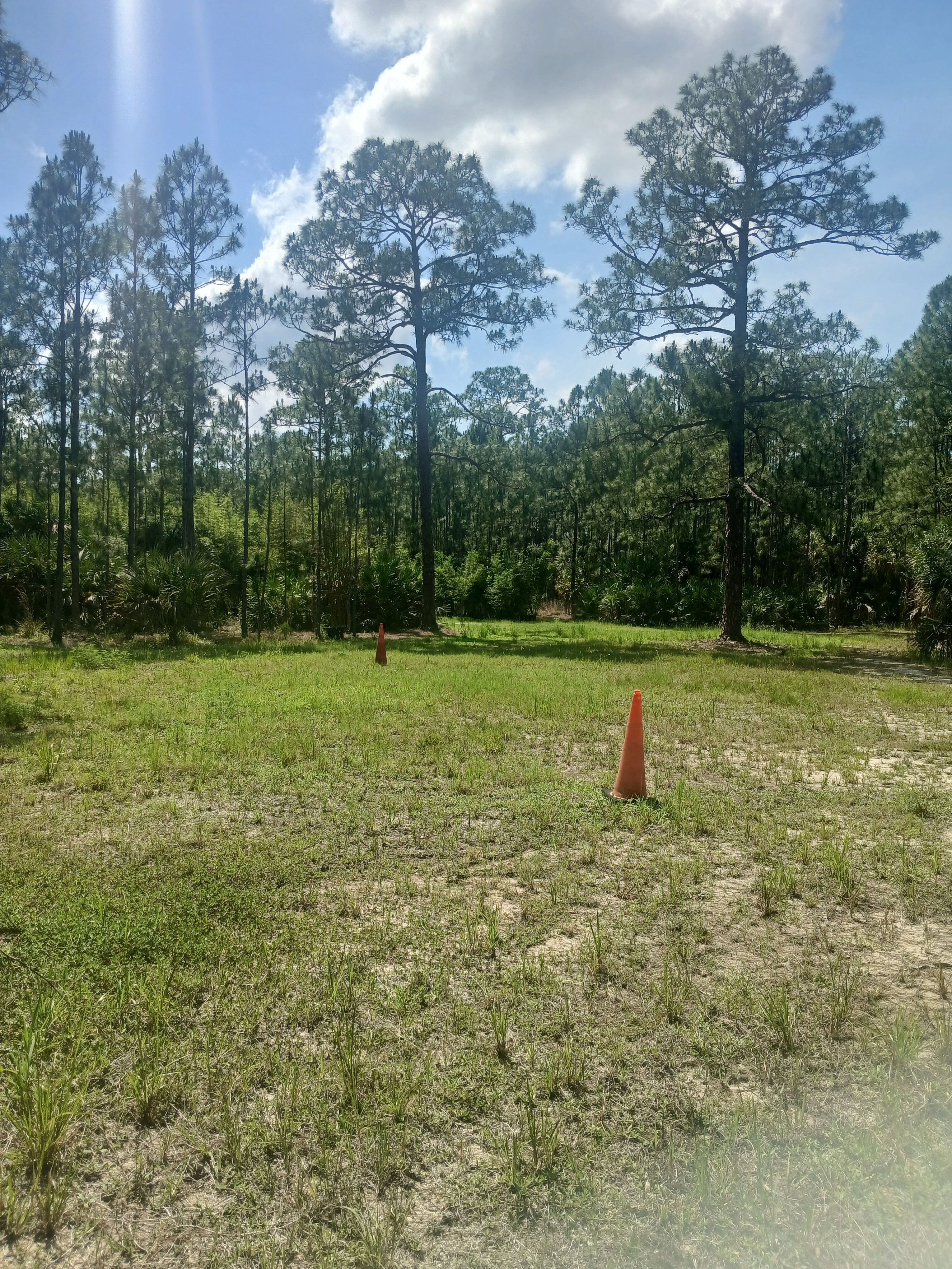 Harmony Bamboo Nursery