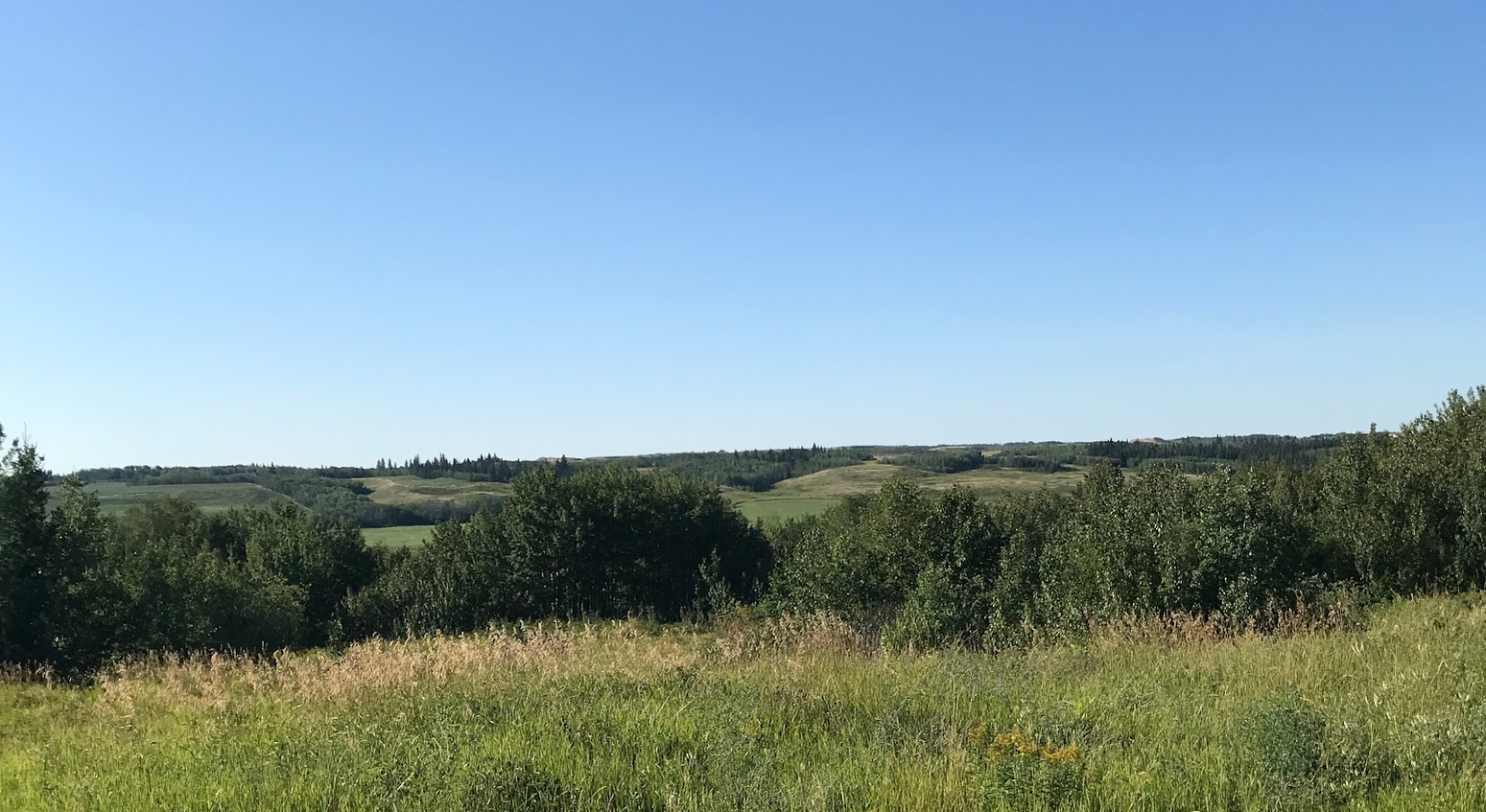 Whispering Willows Ranch