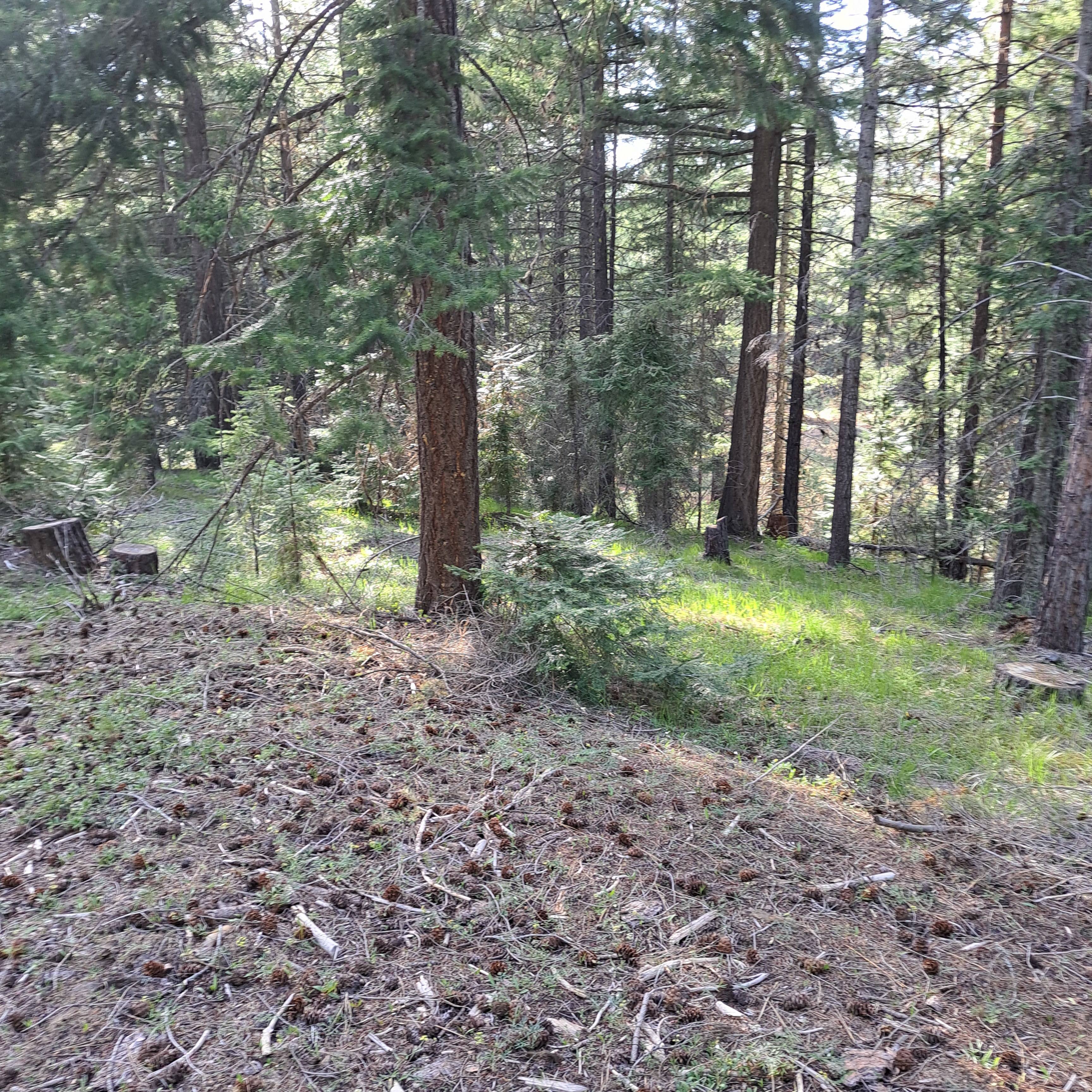 Teanaway Mountain Retreat