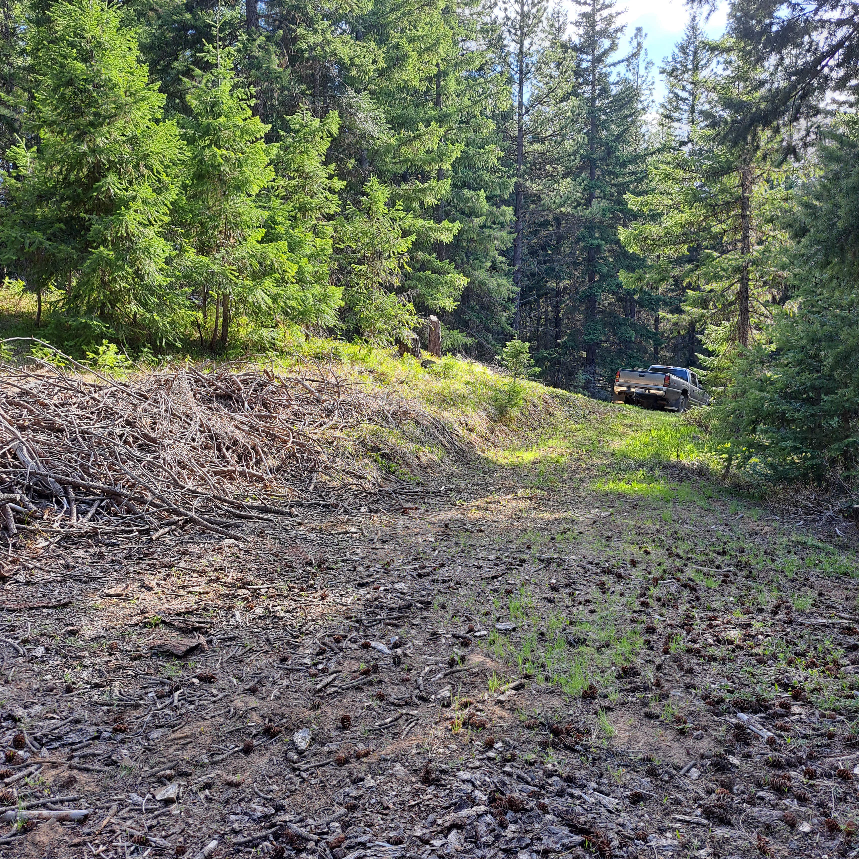 Teanaway Mountain Retreat